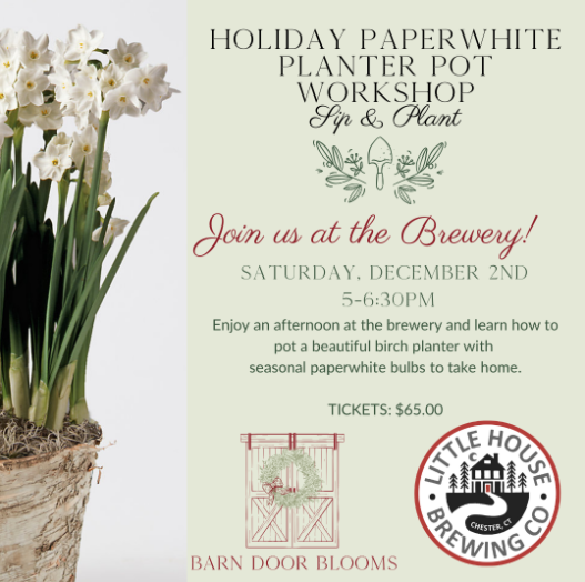 HOLIDAY PAPERWHITE PLANTER WORKSHOP with Barn Door Blooms