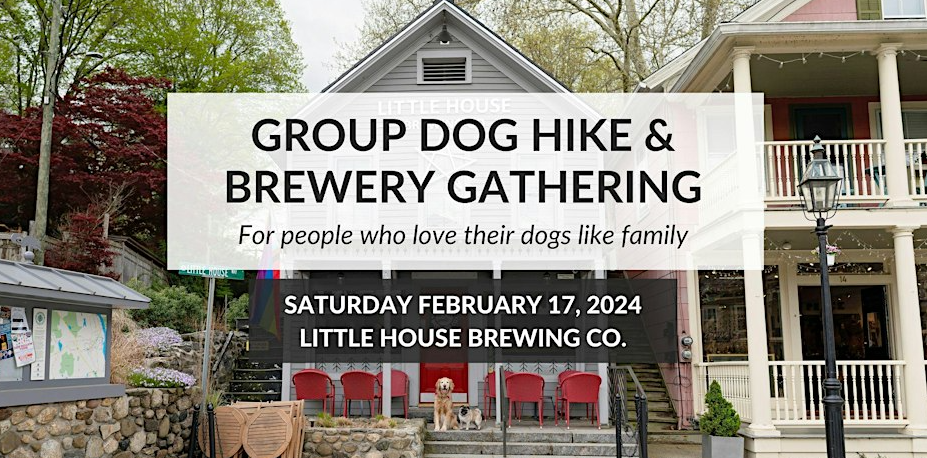 Group Dog Hike + Brewery Gathering hosted by With Love & Oats Photography
