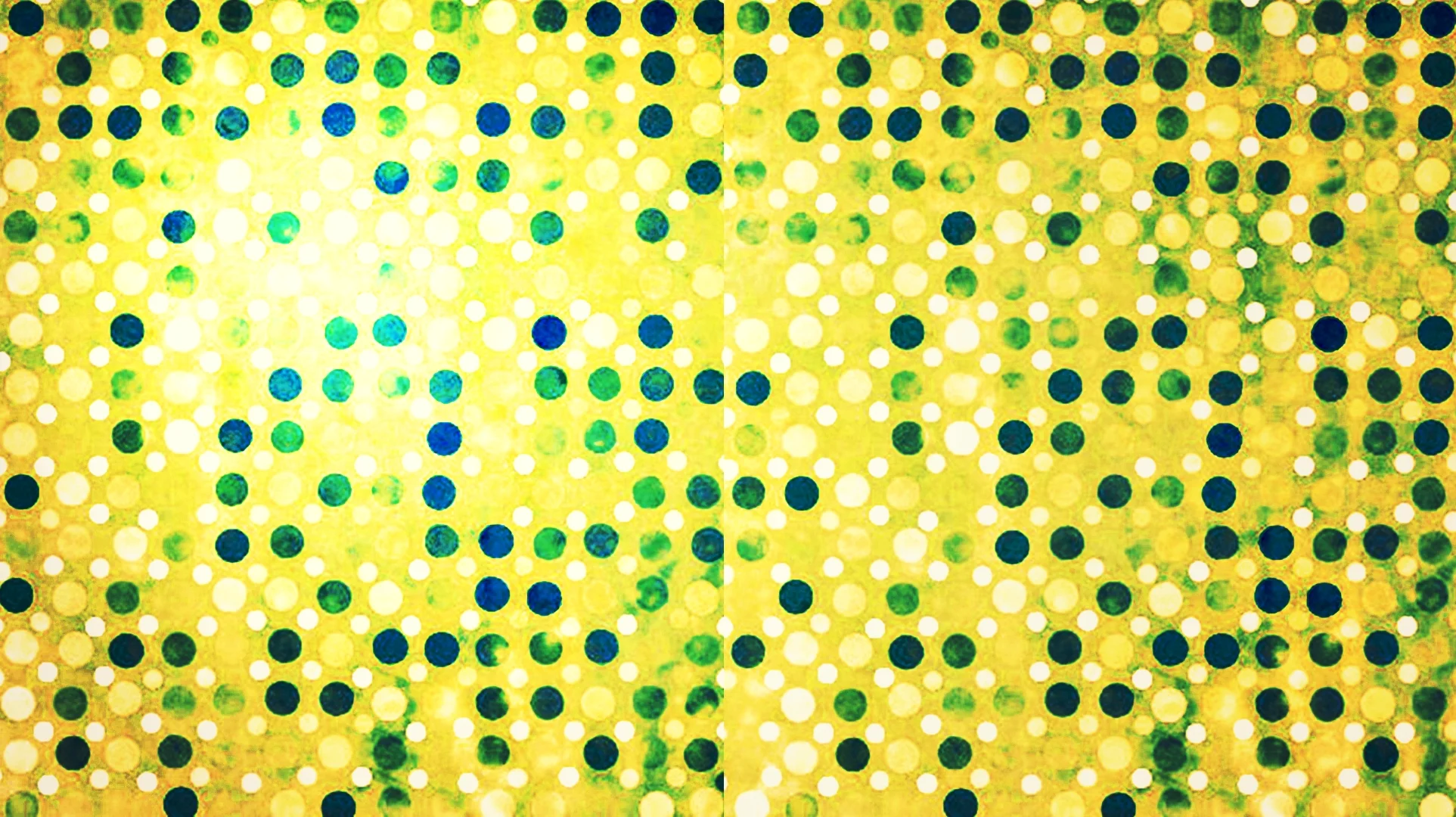 Dots Wall.jpg