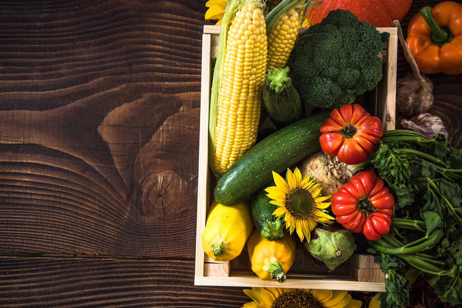Food-Bank-21.jpg
