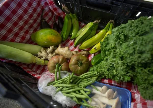 5514800_web1_Food_Basket_HKH_2.jpg