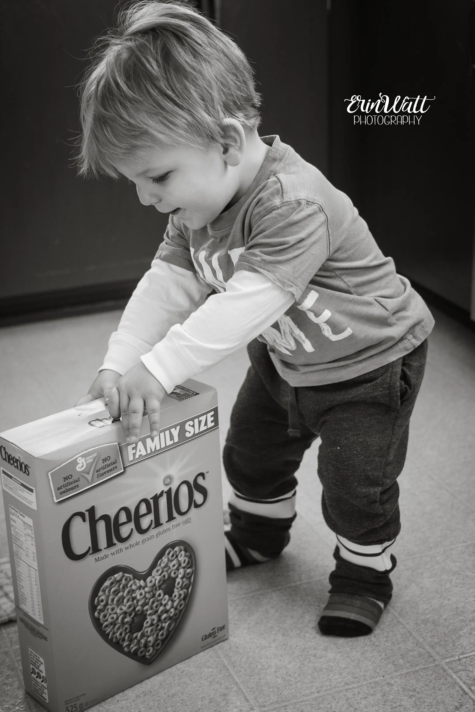 cheeriosmonochrome.jpg