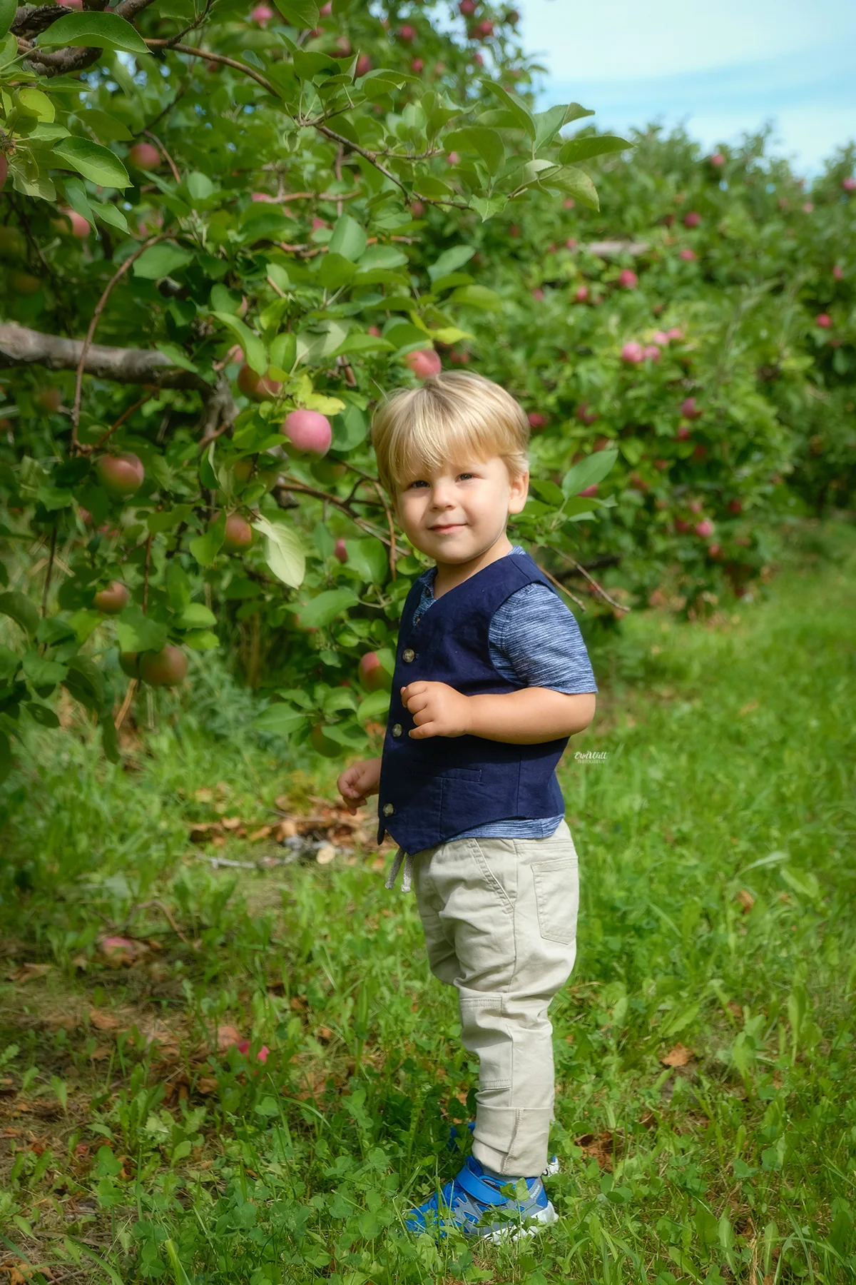 apple-orchard-mini-sessions-waterloo-3.jpg
