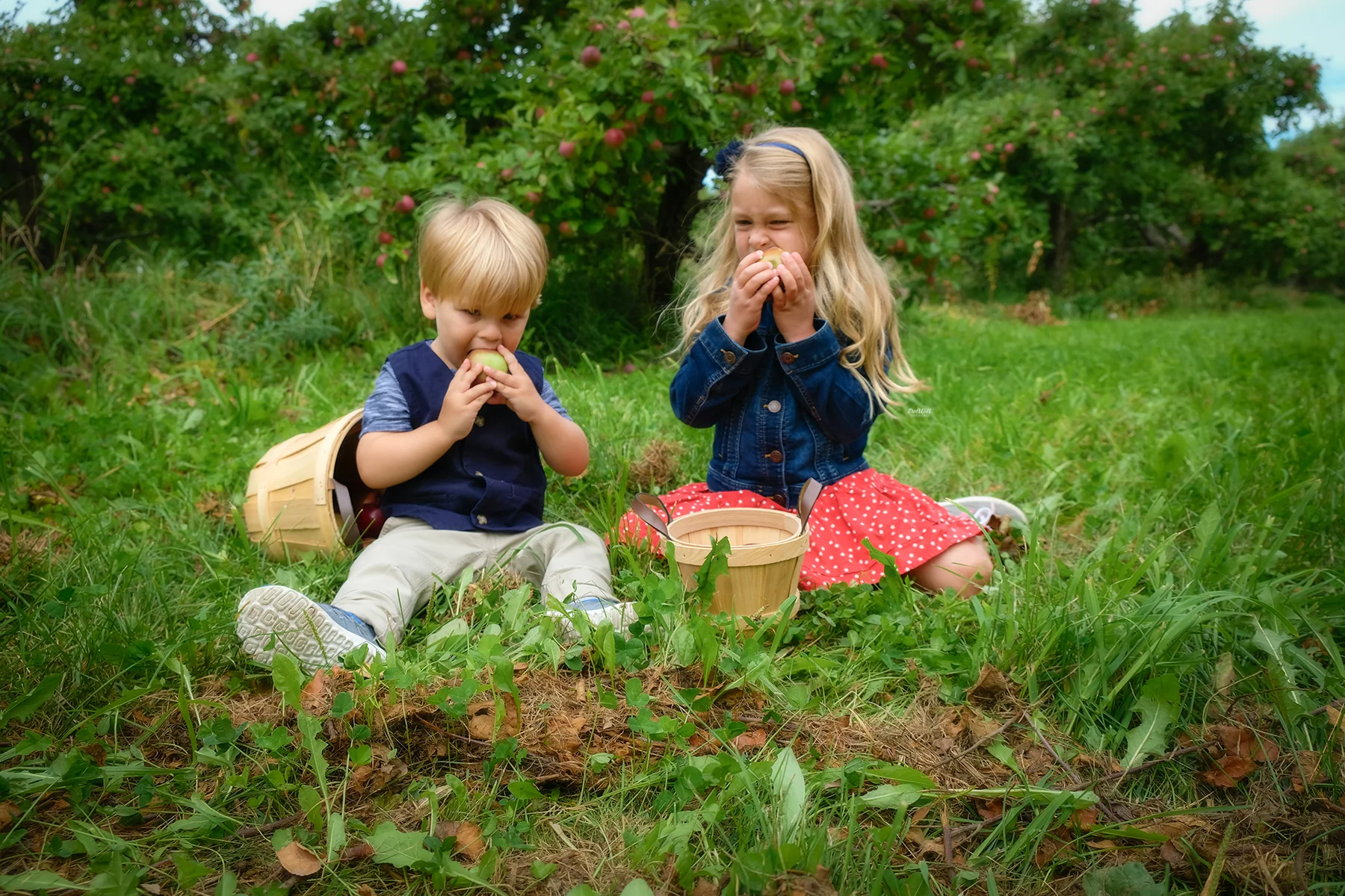apple-orchard-mini-sessions-waterloo-4.jpg
