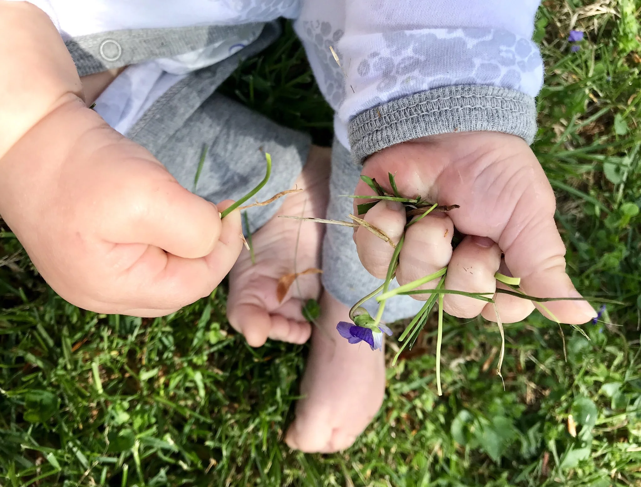 Spring - Willow.jpeg