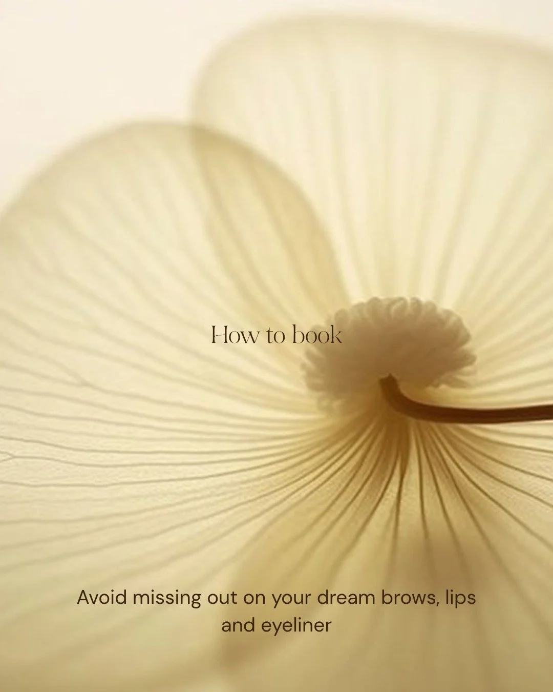 Our books open three months in advance on the 1st of every month, and availability fills quickly. This guide walks you through our booking process so you know exactly what to expect.

If you have questions about securing your appointment, please feel