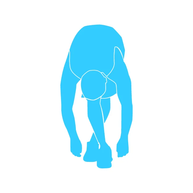 si_hamstring stretch.jpg