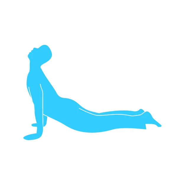si_back extension.jpg