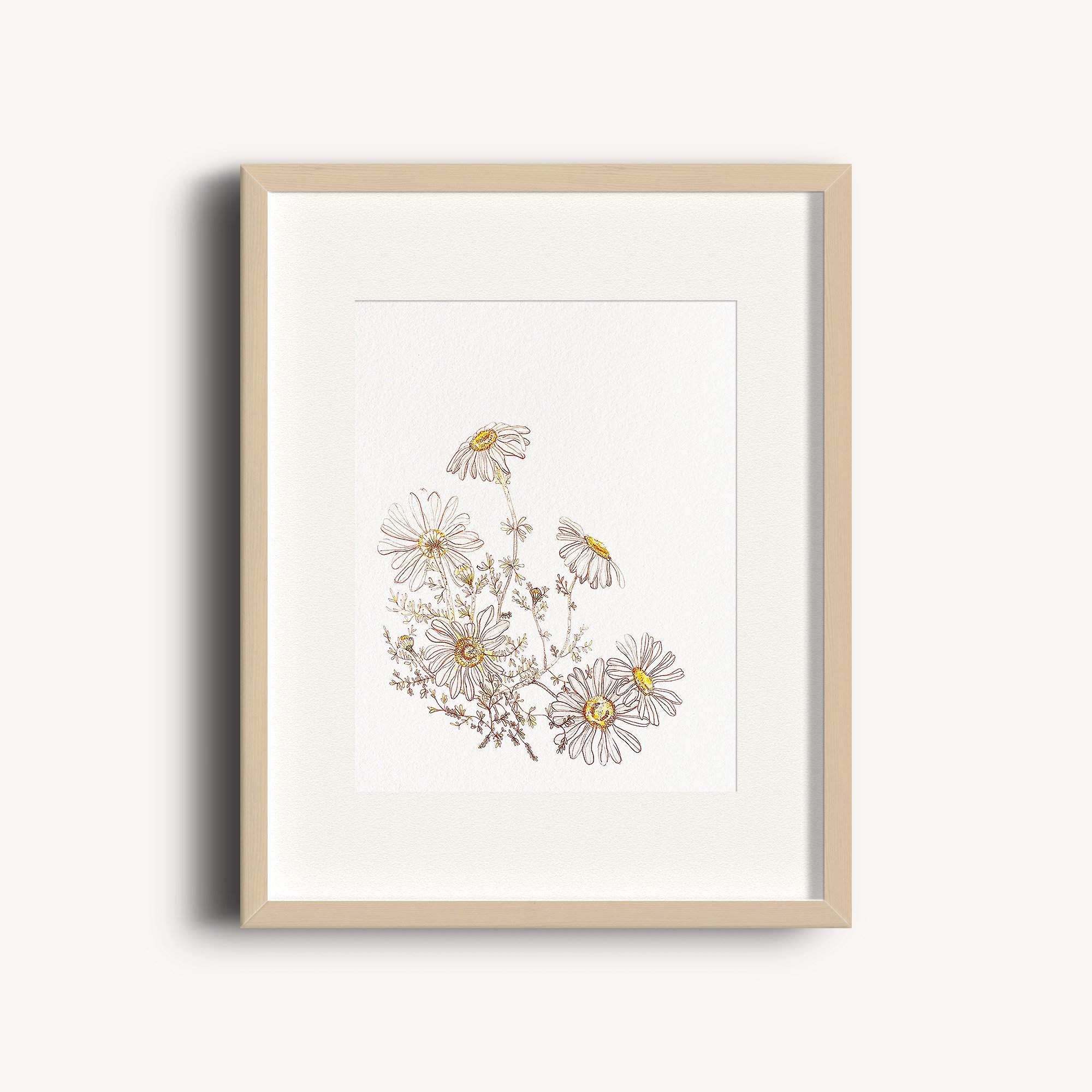 Golden Rose Creative- Chamomile Watercolour Print