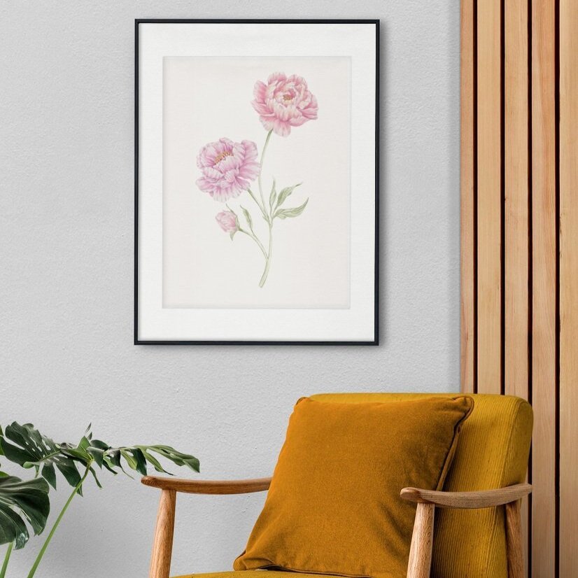 Peonies Print