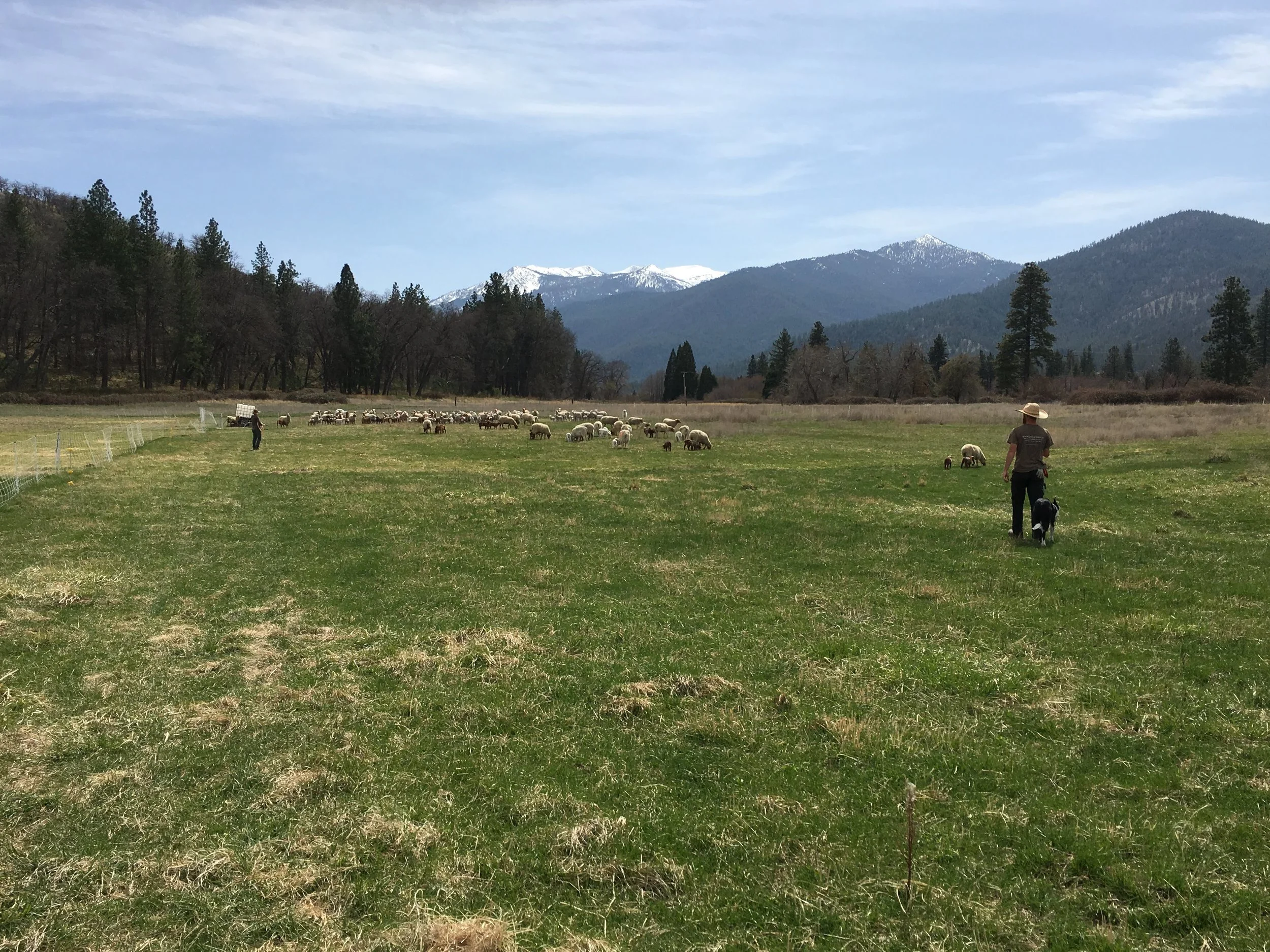 Website relaunch 2018!