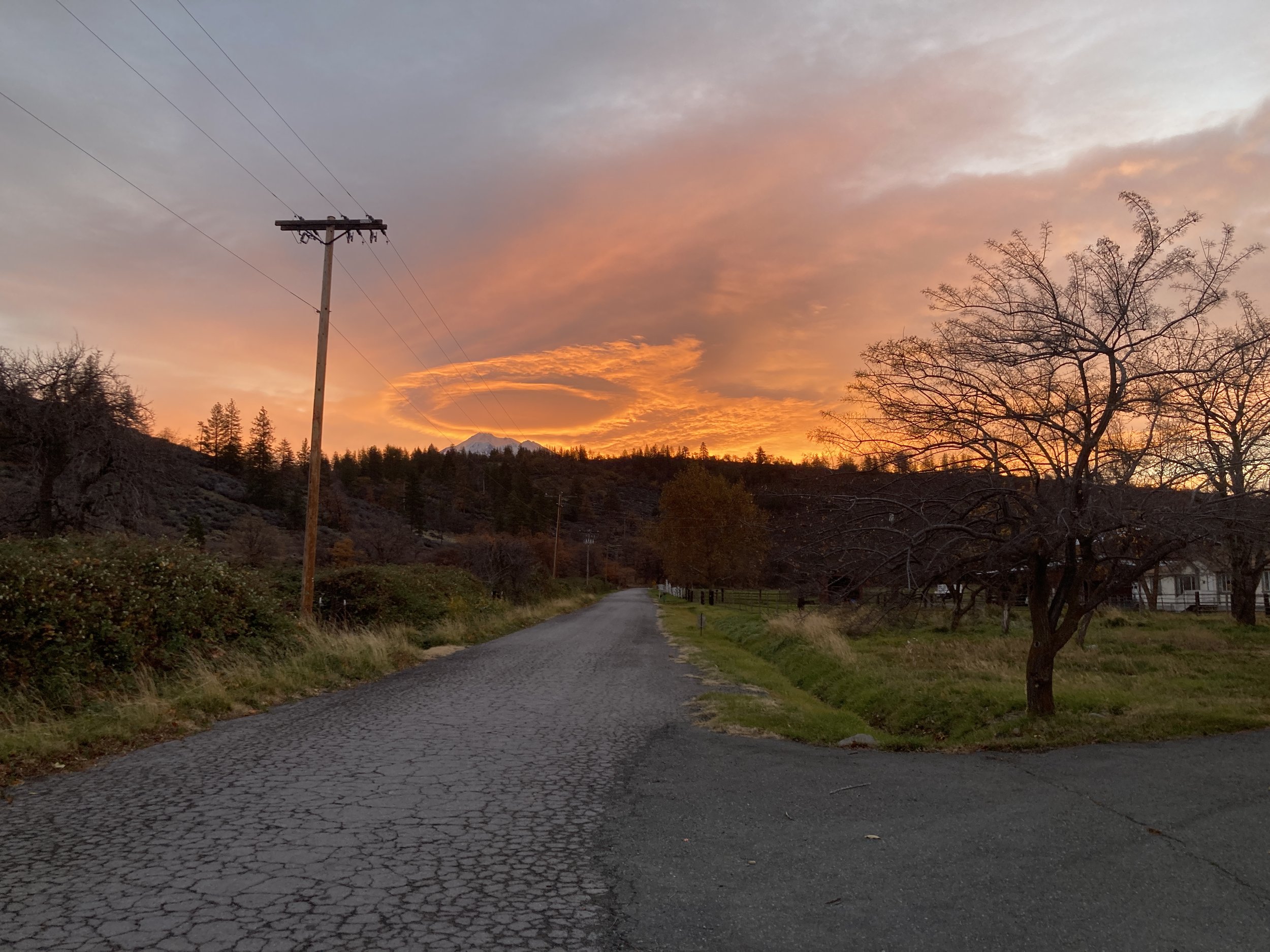 Eggciting Changes are Afoot!