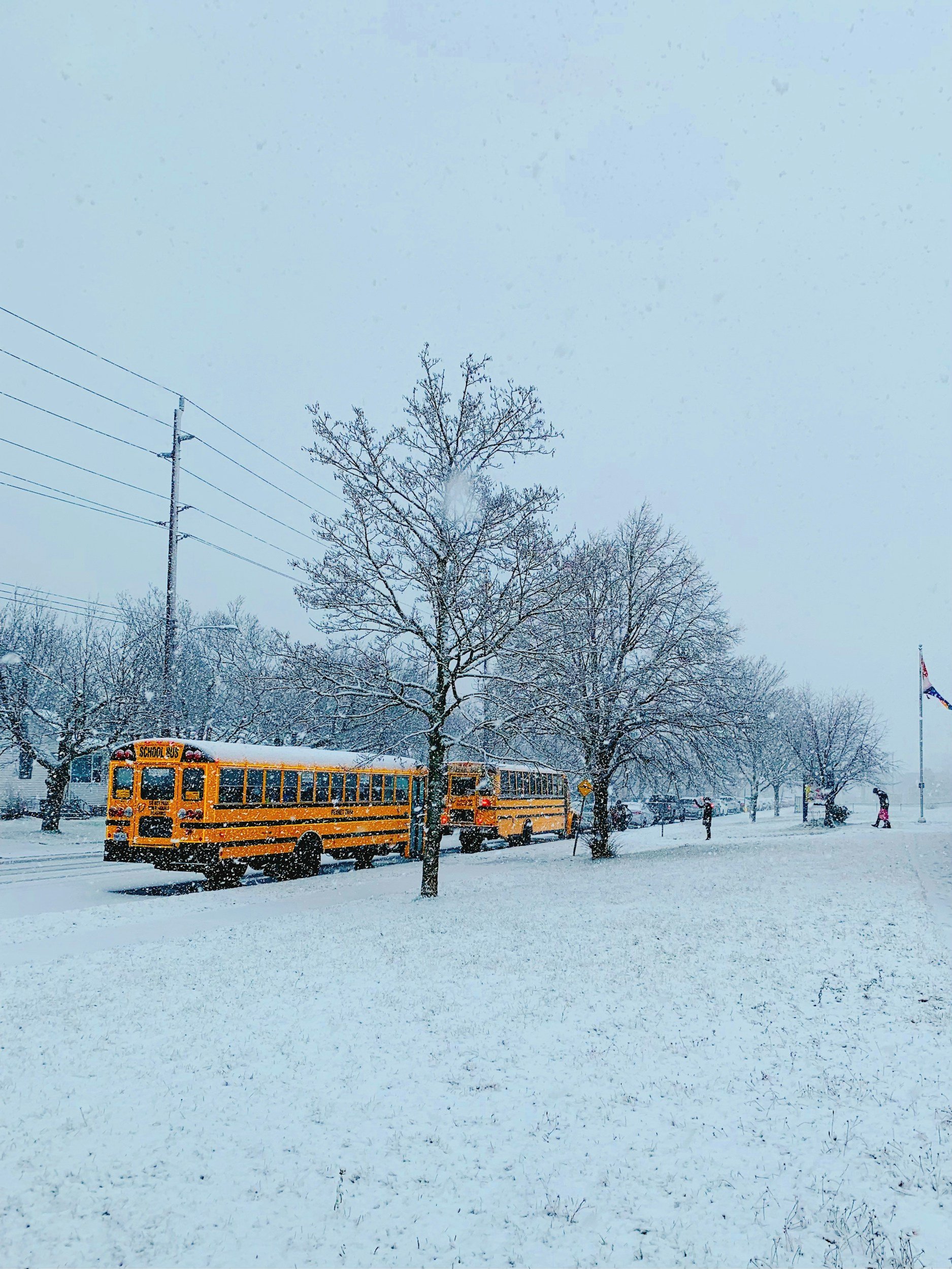 School Buses in a Snowstorm