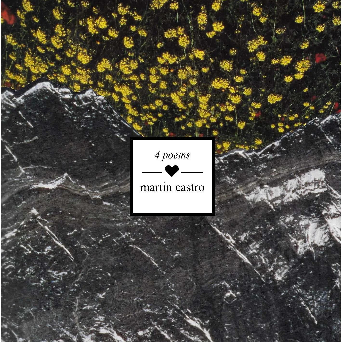 Two fresh projects for 2019