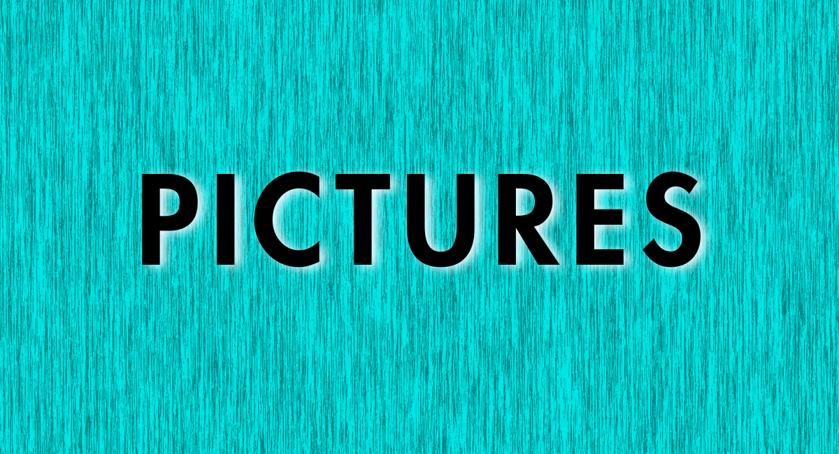 Picture Day Schedule & Information