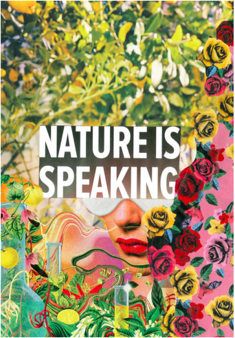 Screen Shot 2017-08-22 at 3.32.17 PM.png