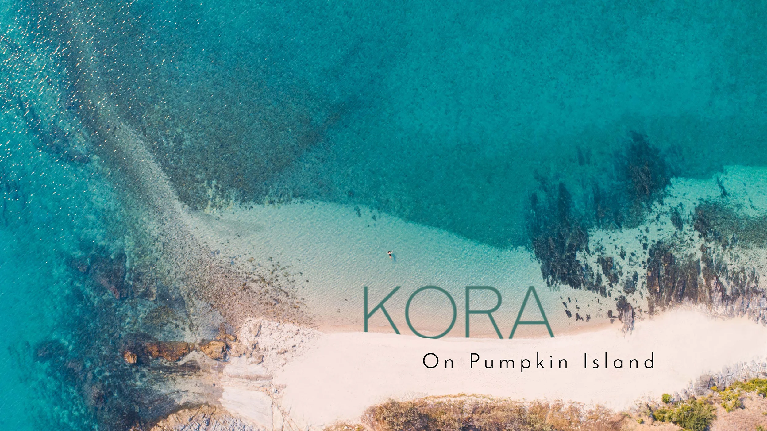 Kora_Storyboard_Page_01_Image_0001.jpg