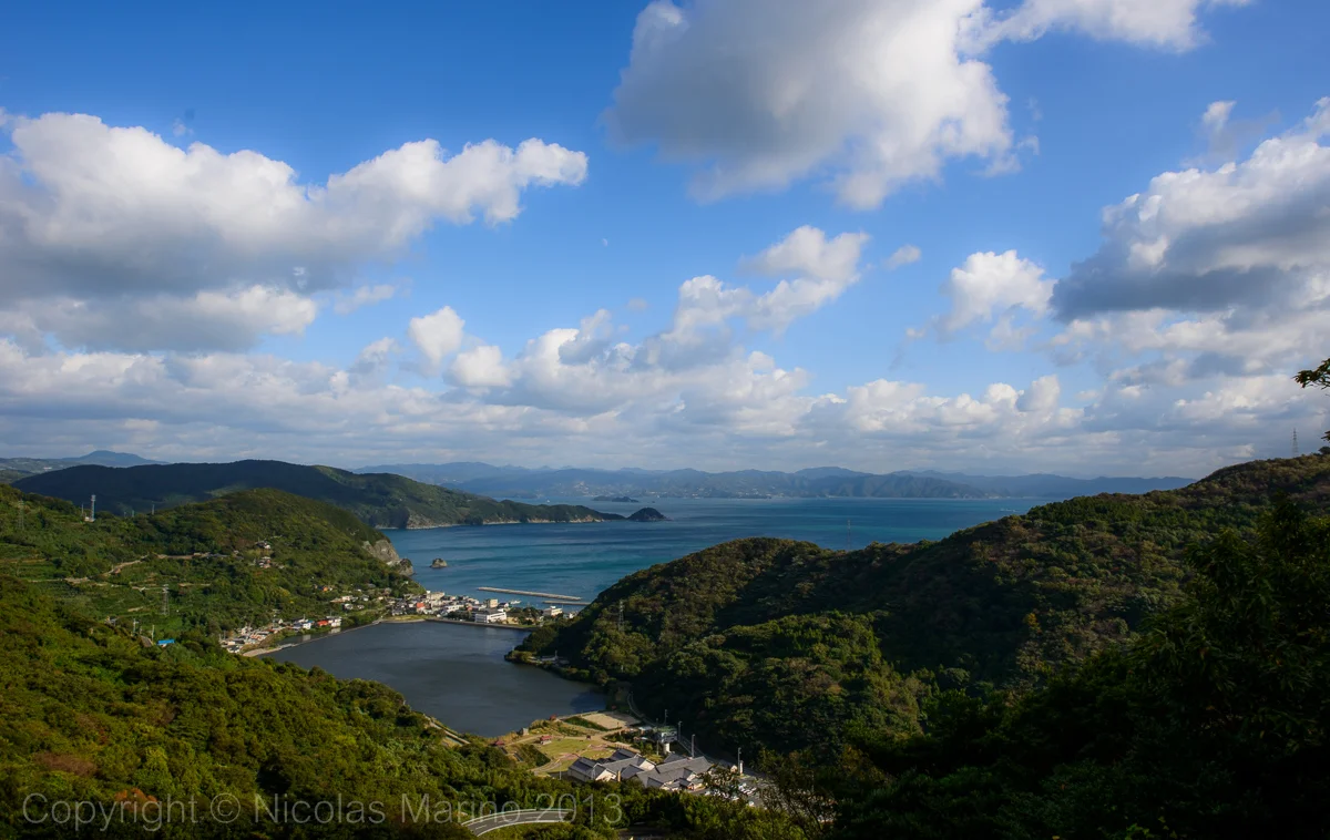 DSC_8391.jpg