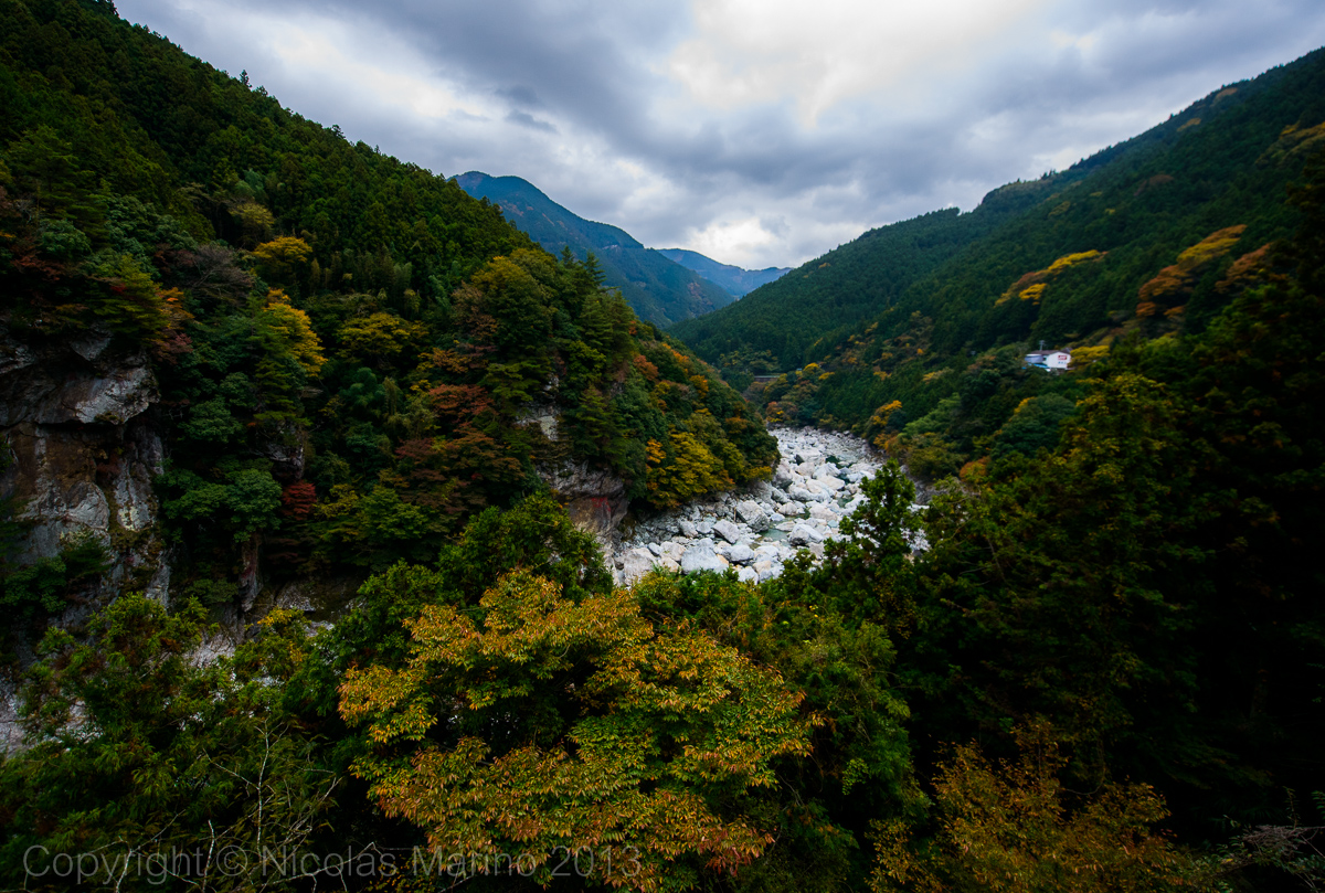DSC_8483.jpg