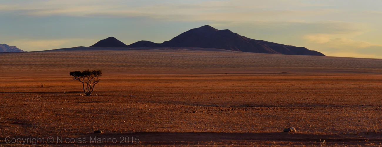 NIC_4787-Pano-Edit.jpg