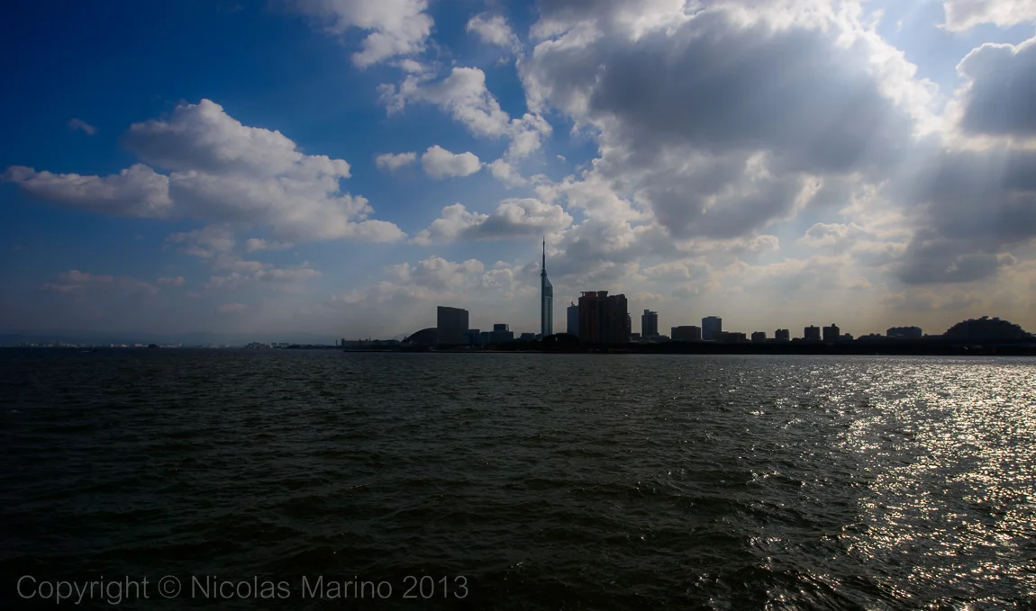 DSC_8262.jpg