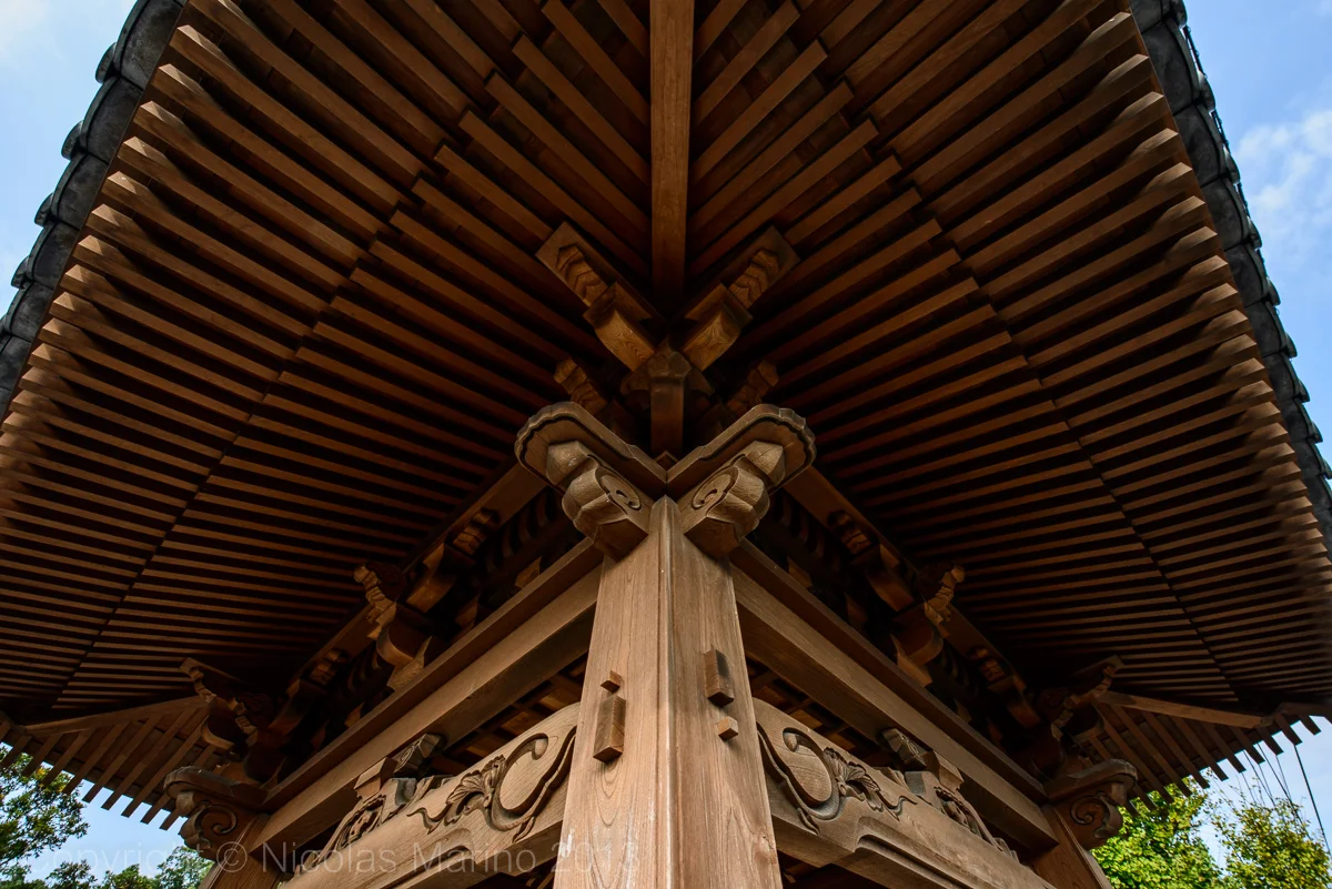 DSC_8305.jpg