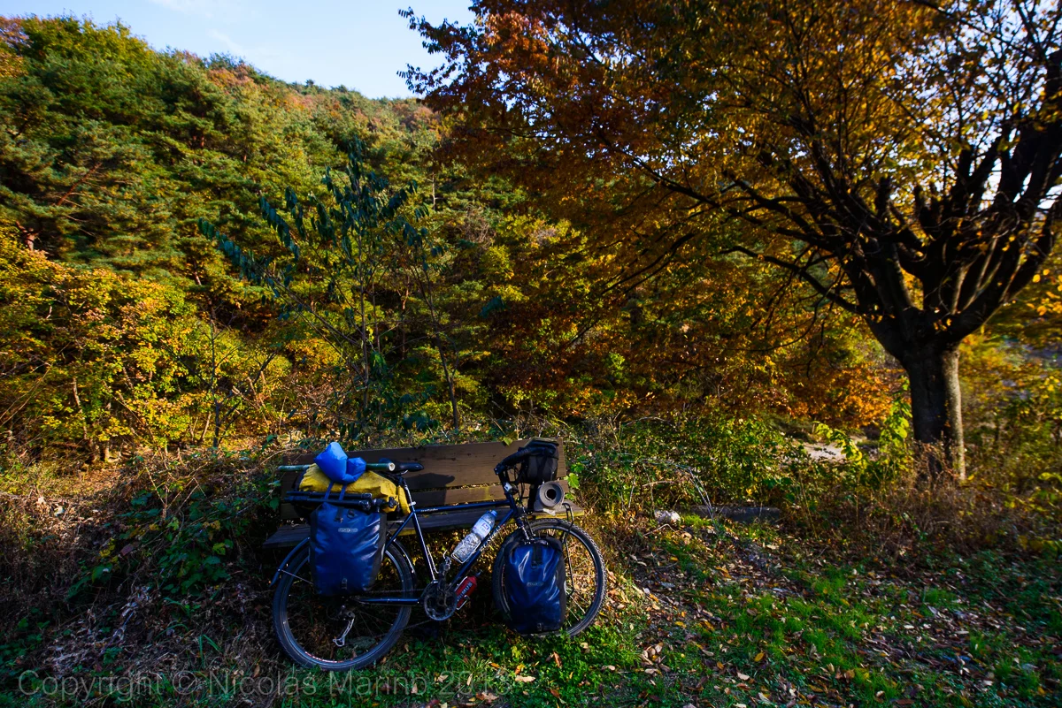 DSC_8091.jpg
