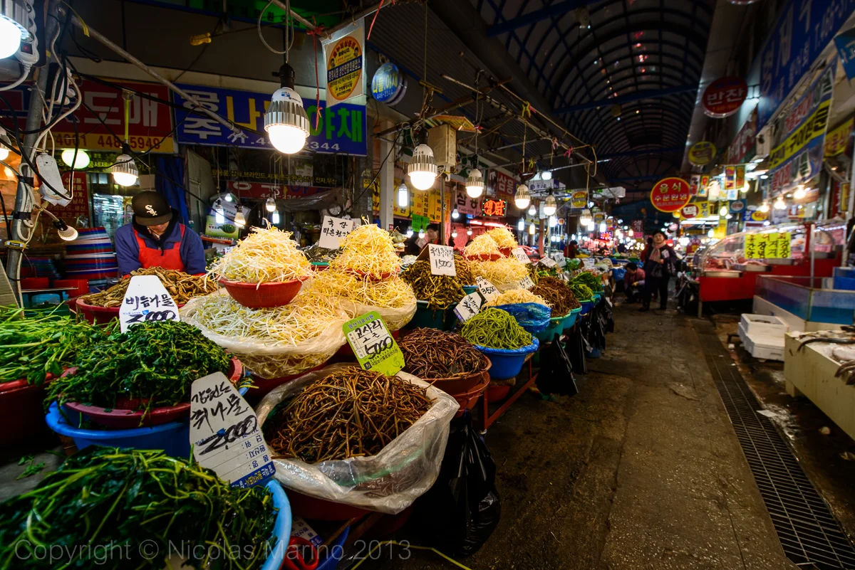 DSC_8013.jpg