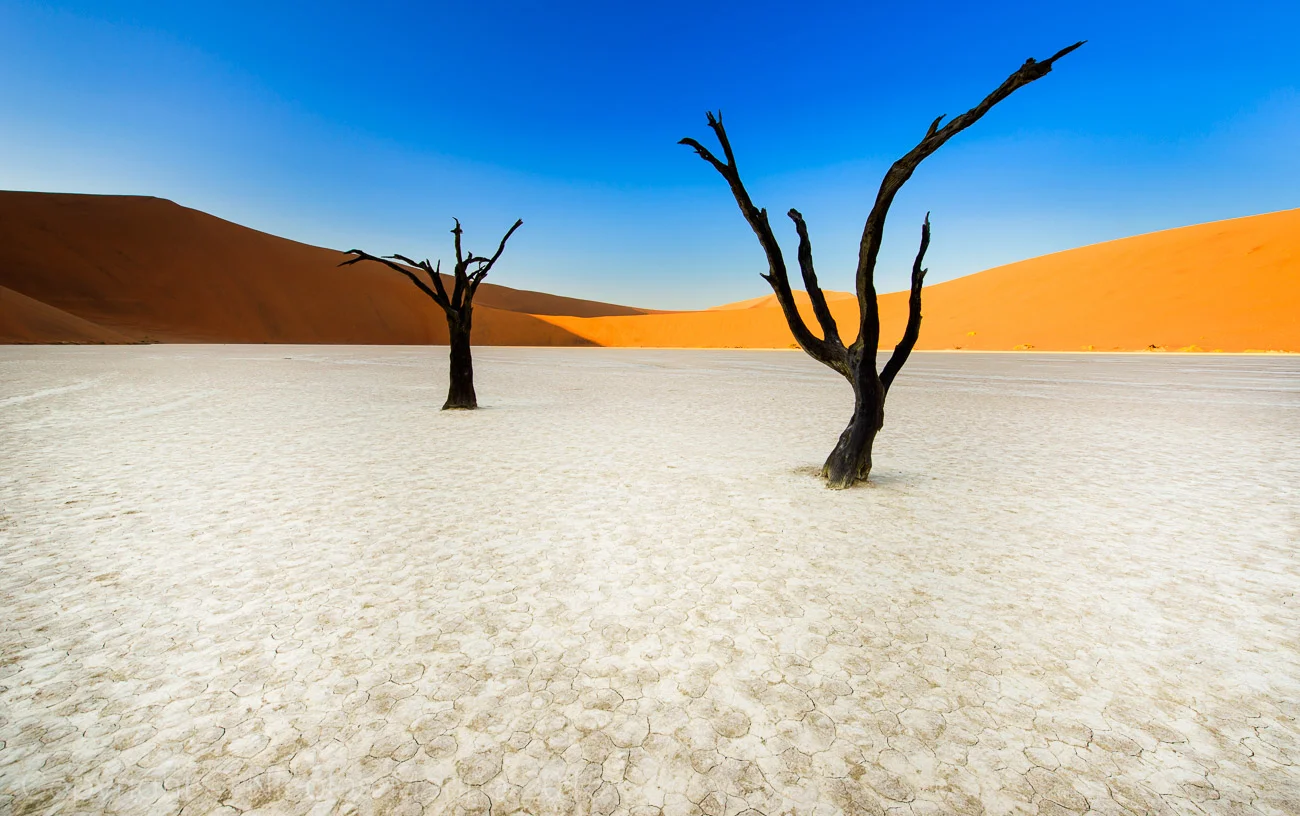NIC_5020-Edit.jpg