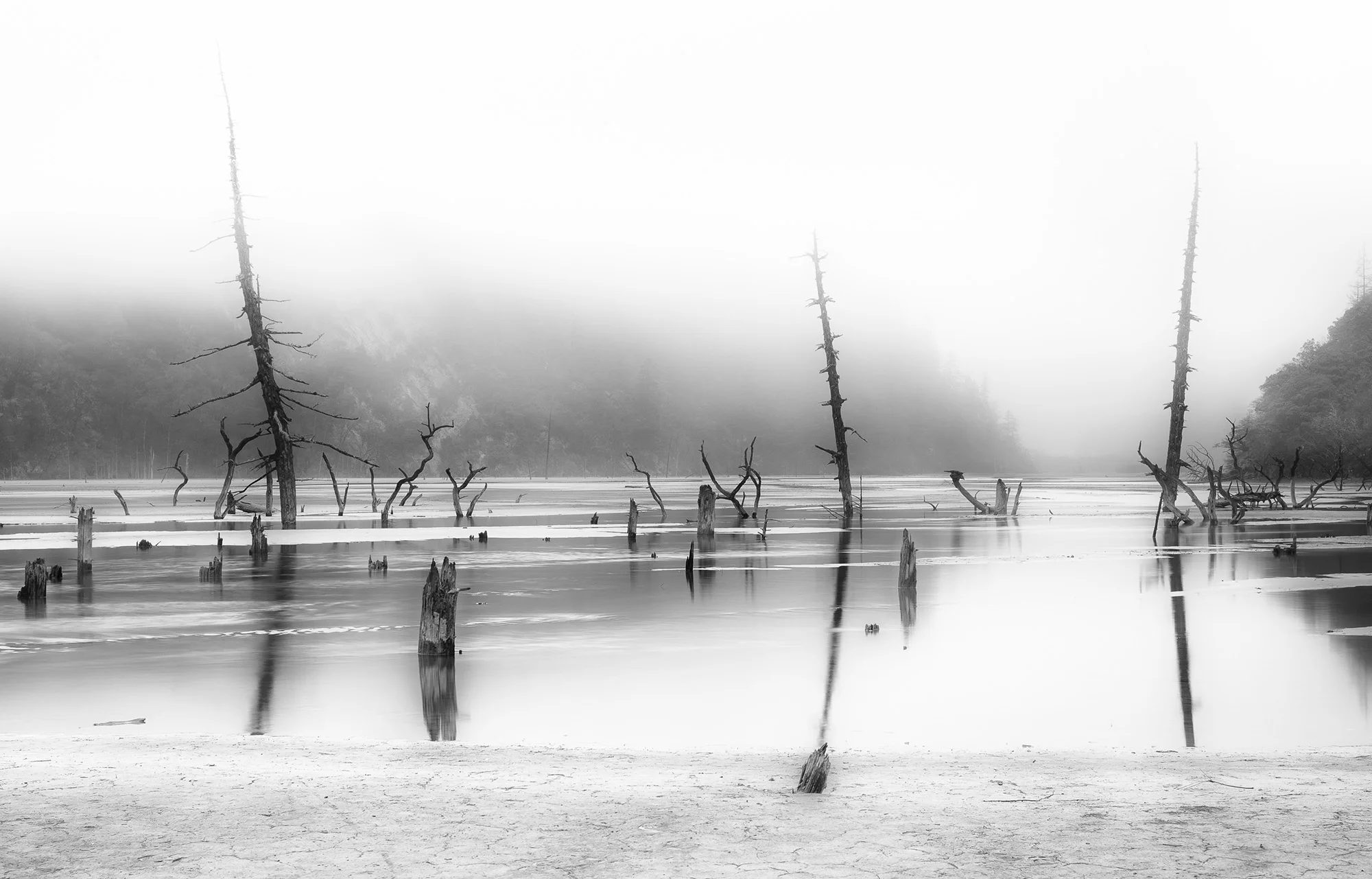 Quietud