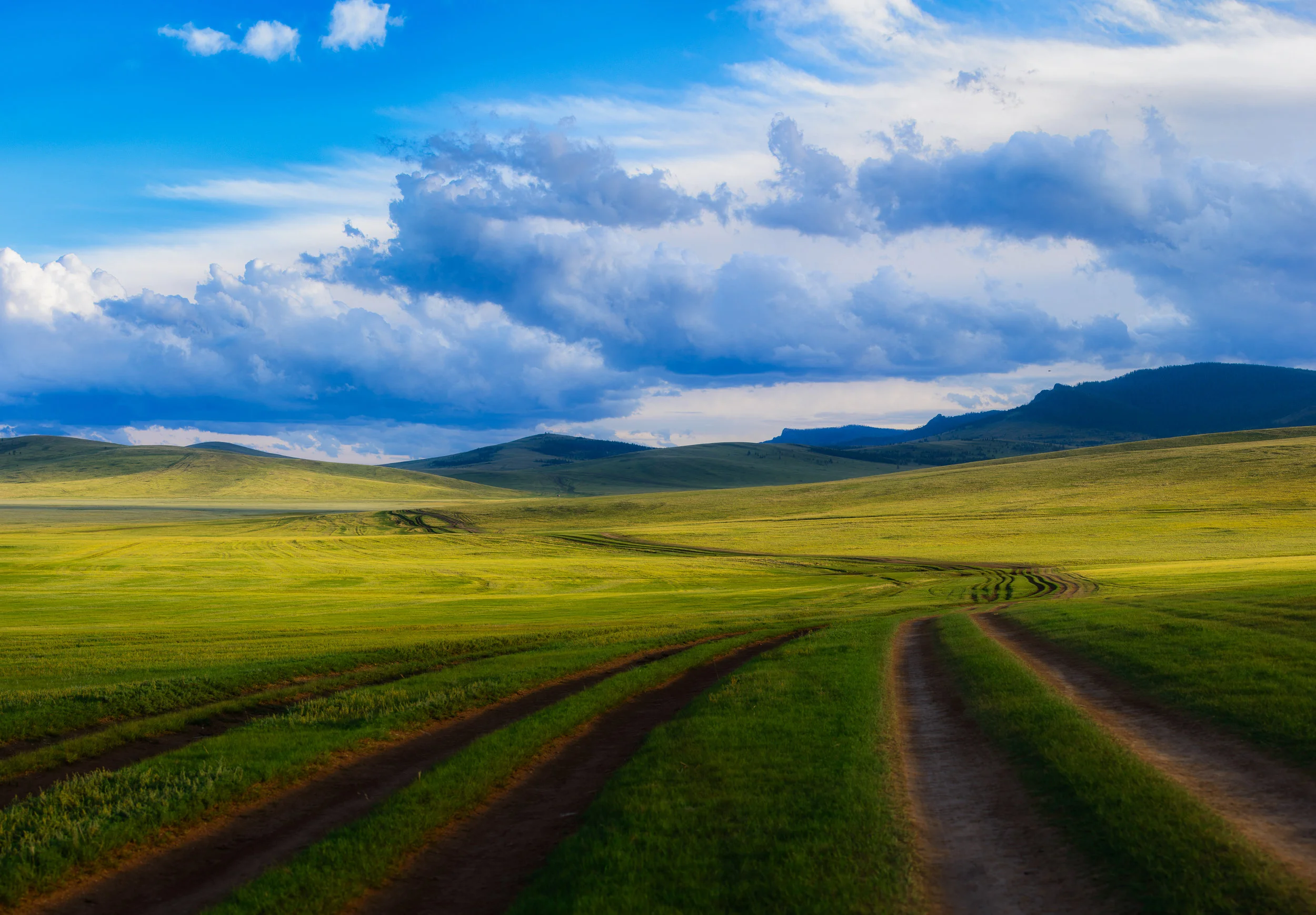 The paths