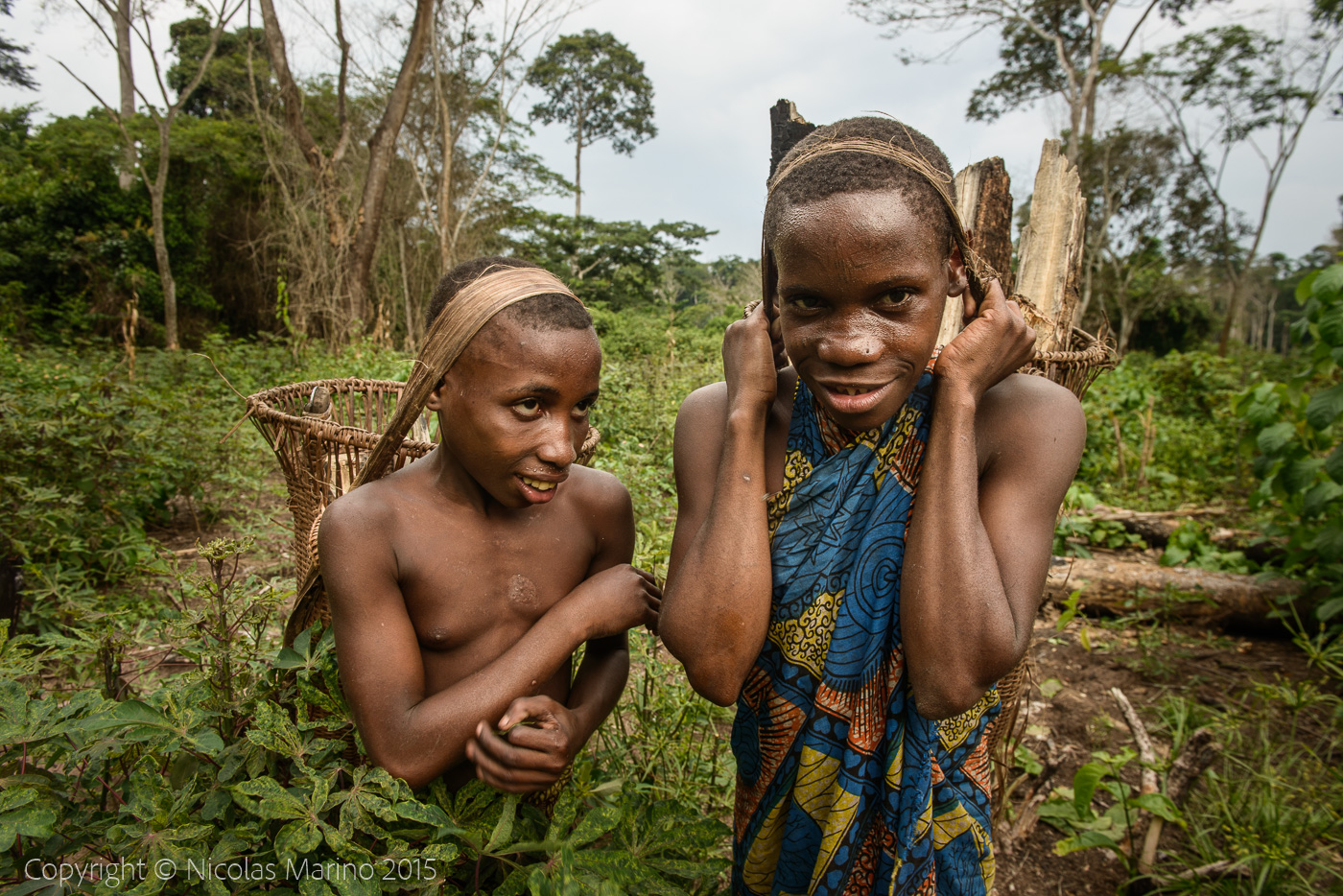 Life in the equatorial rainforest. The Bayaka Pygmys. Central African Republic
