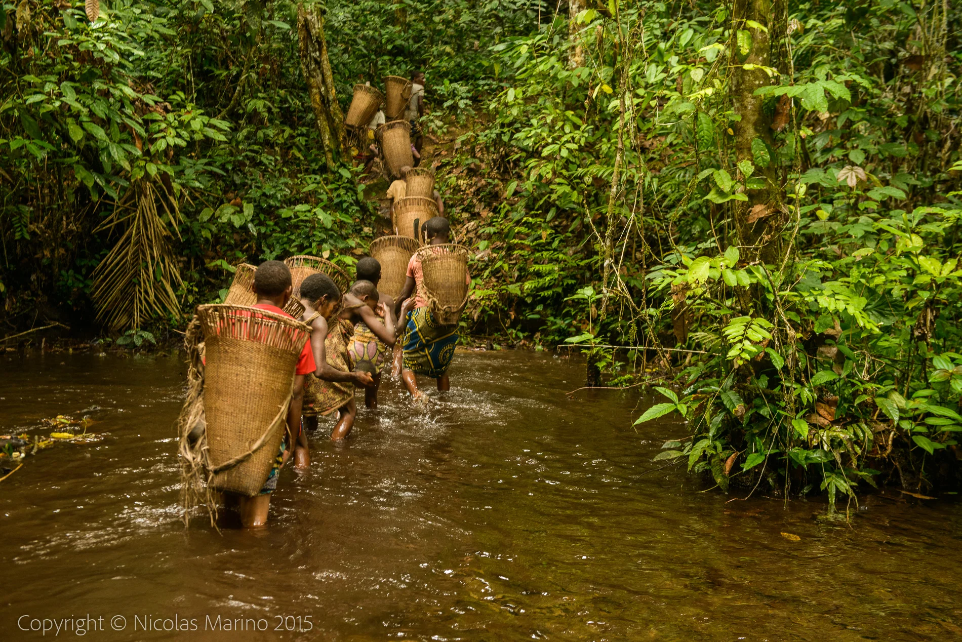 Life in the equatorial rainforest. The Bayaka Pygmys. Central African Republic