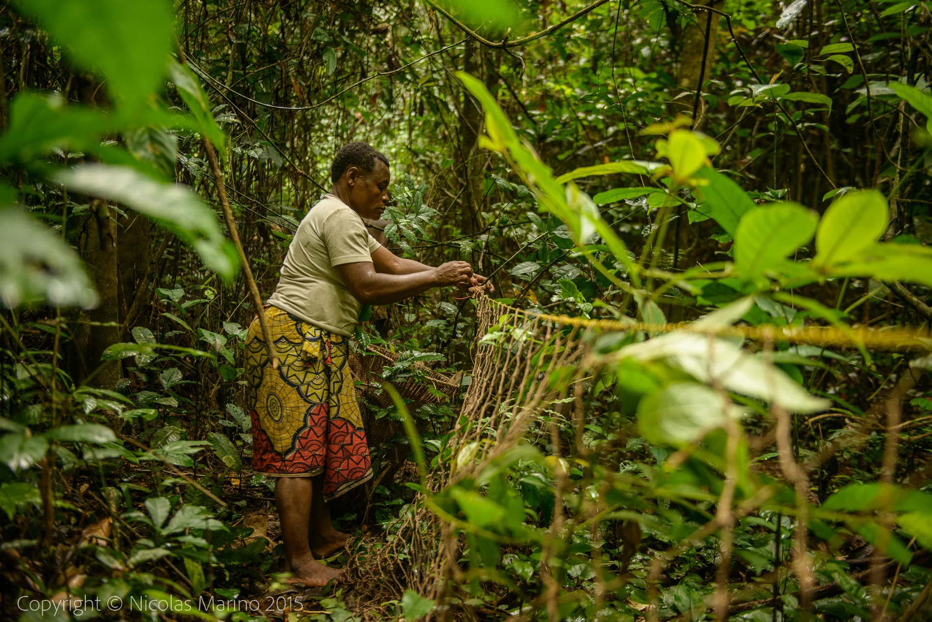 Life in the equatorial rainforest. The Bayaka Pygmys. Central African Republic