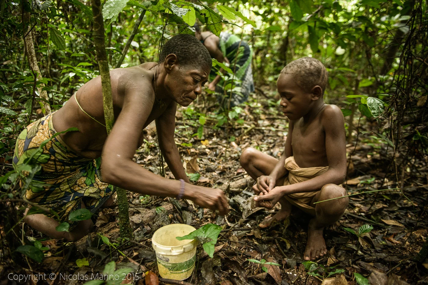 Life in the equatorial rainforest. The Bayaka Pygmys. Central African Republic