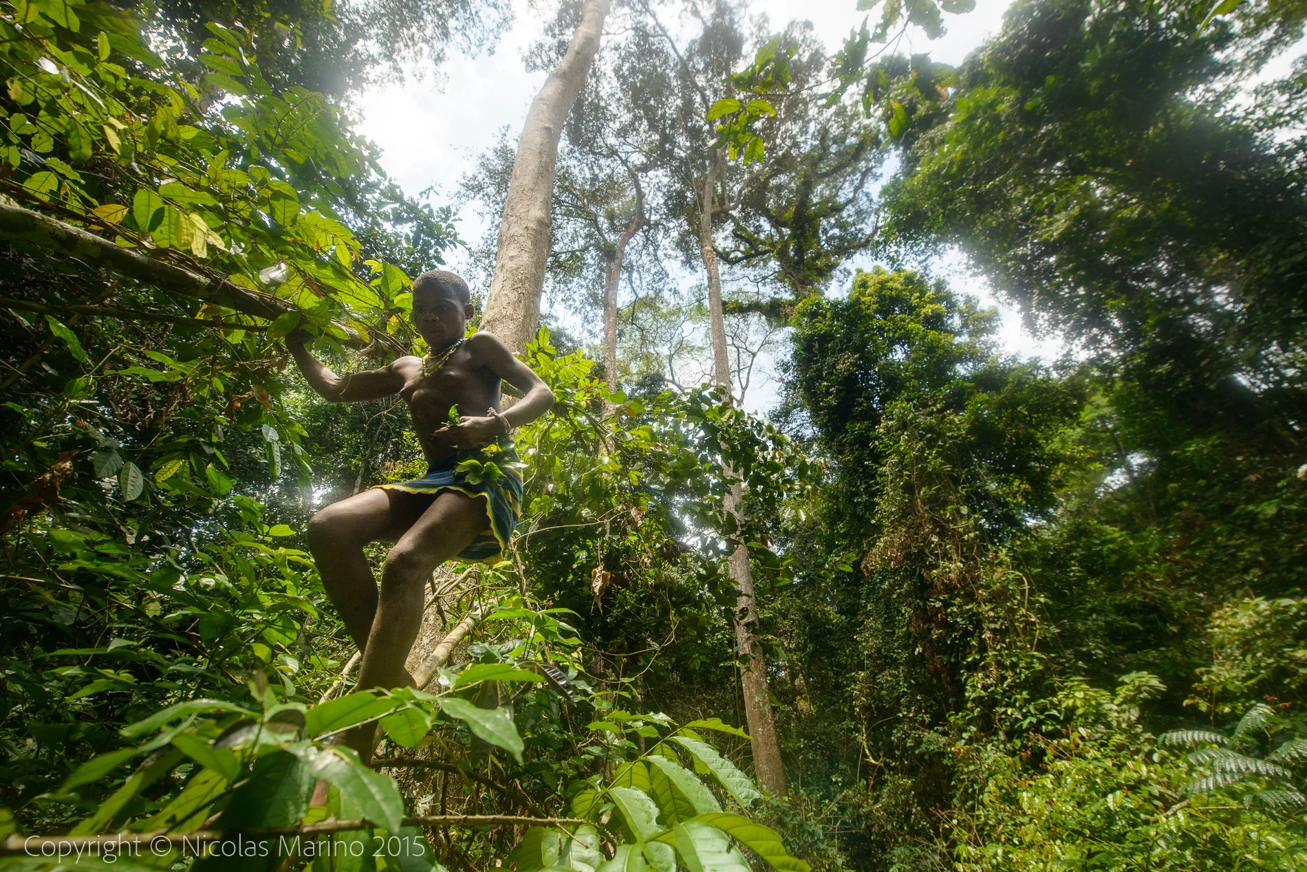 Life in the equatorial rainforest. The Bayaka Pygmys. Central African Republic