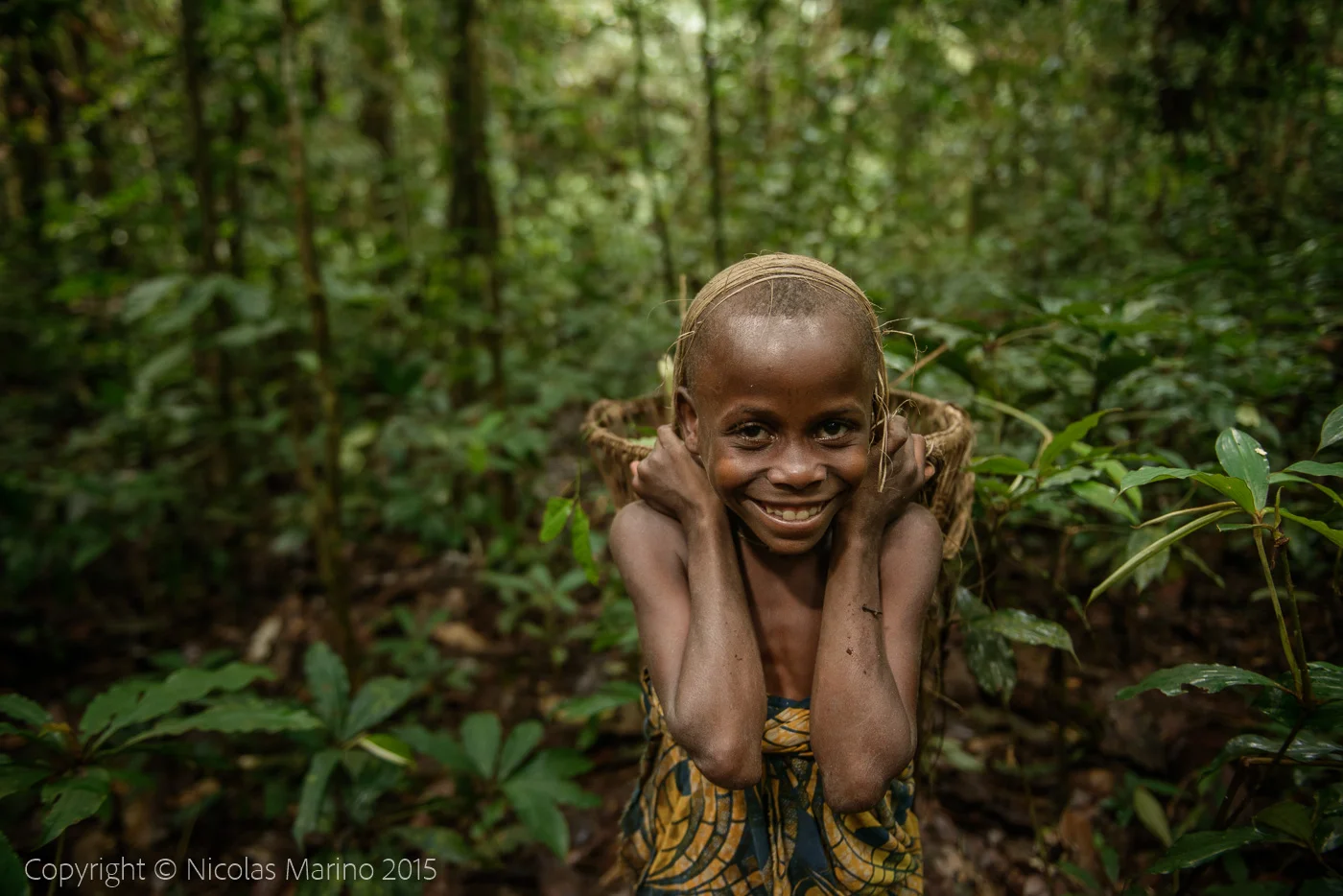 Life in the equatorial rainforest. The Bayaka Pygmys. Central African Republic