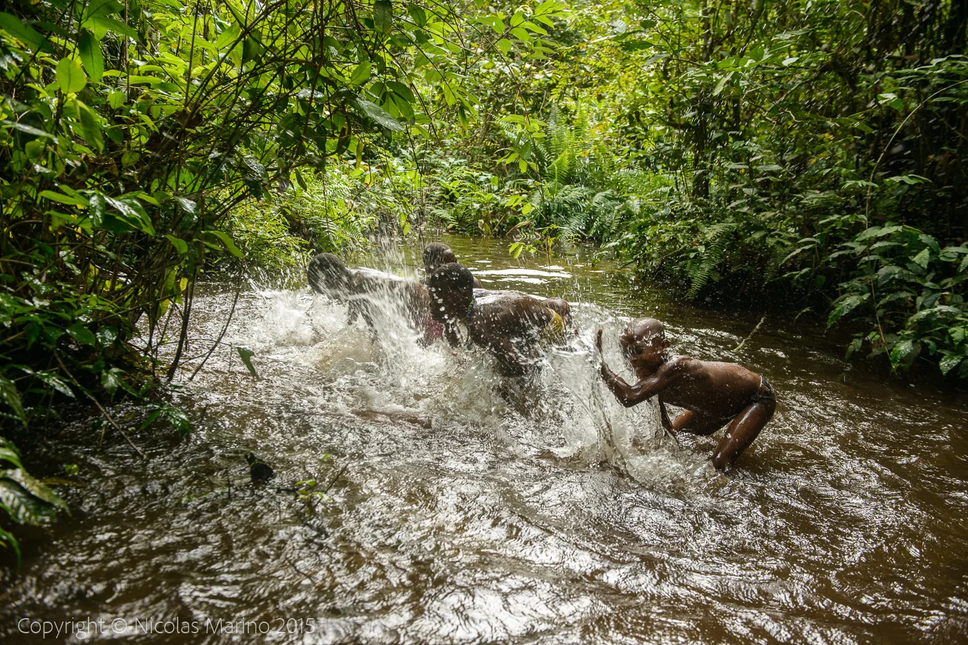 Life in the equatorial rainforest. The Bayaka Pygmys. Central African Republic