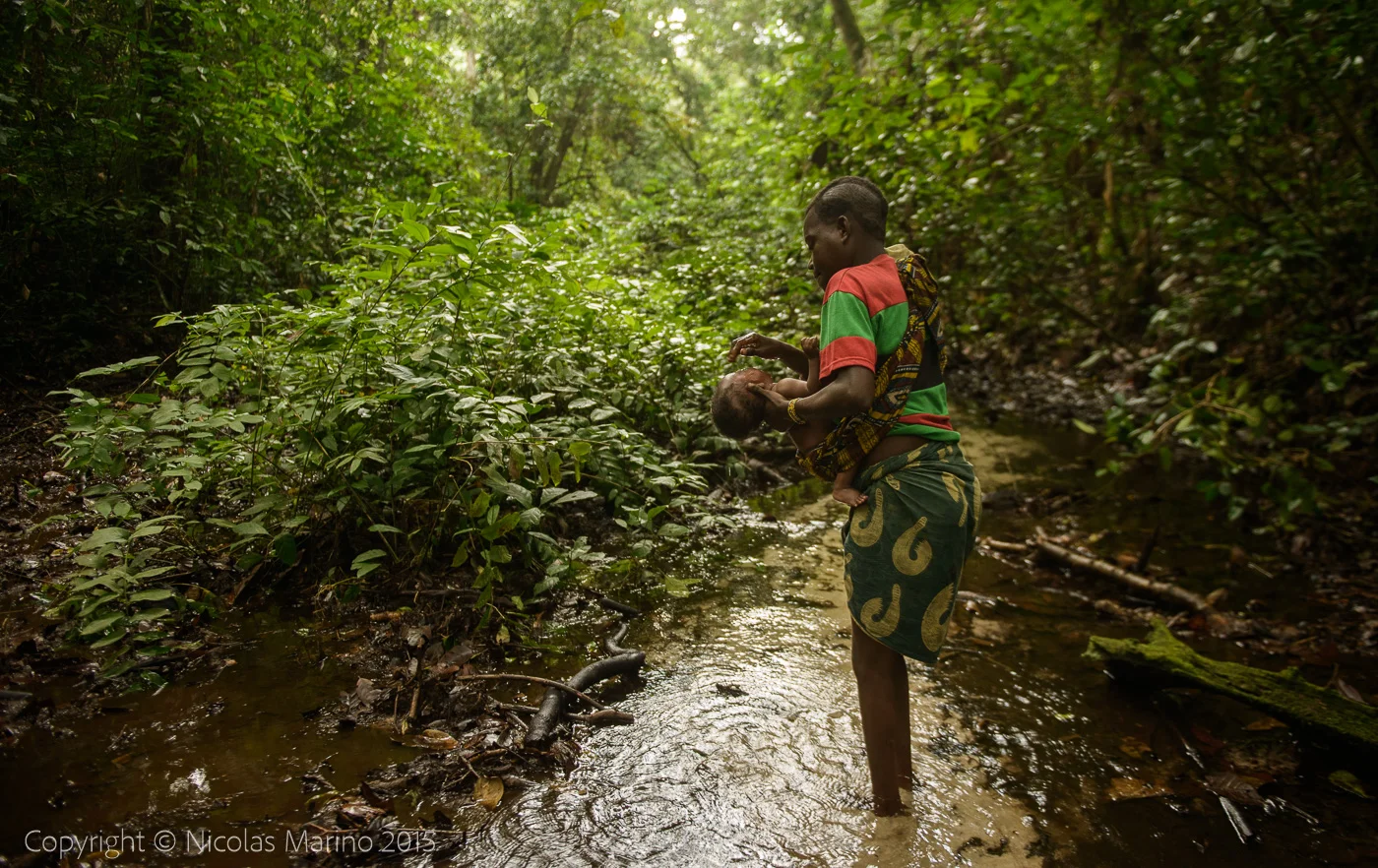 Life in the equatorial rainforest. The Bayaka Pygmys. Central African Republic