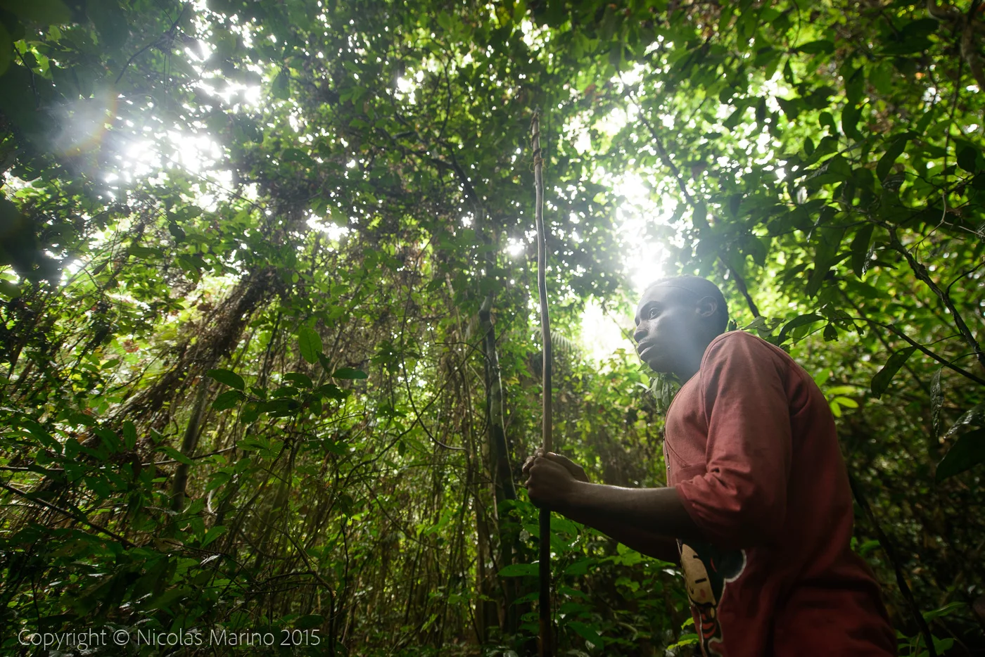 Life in the equatorial rainforest. The Bayaka Pygmys. Central African Republic