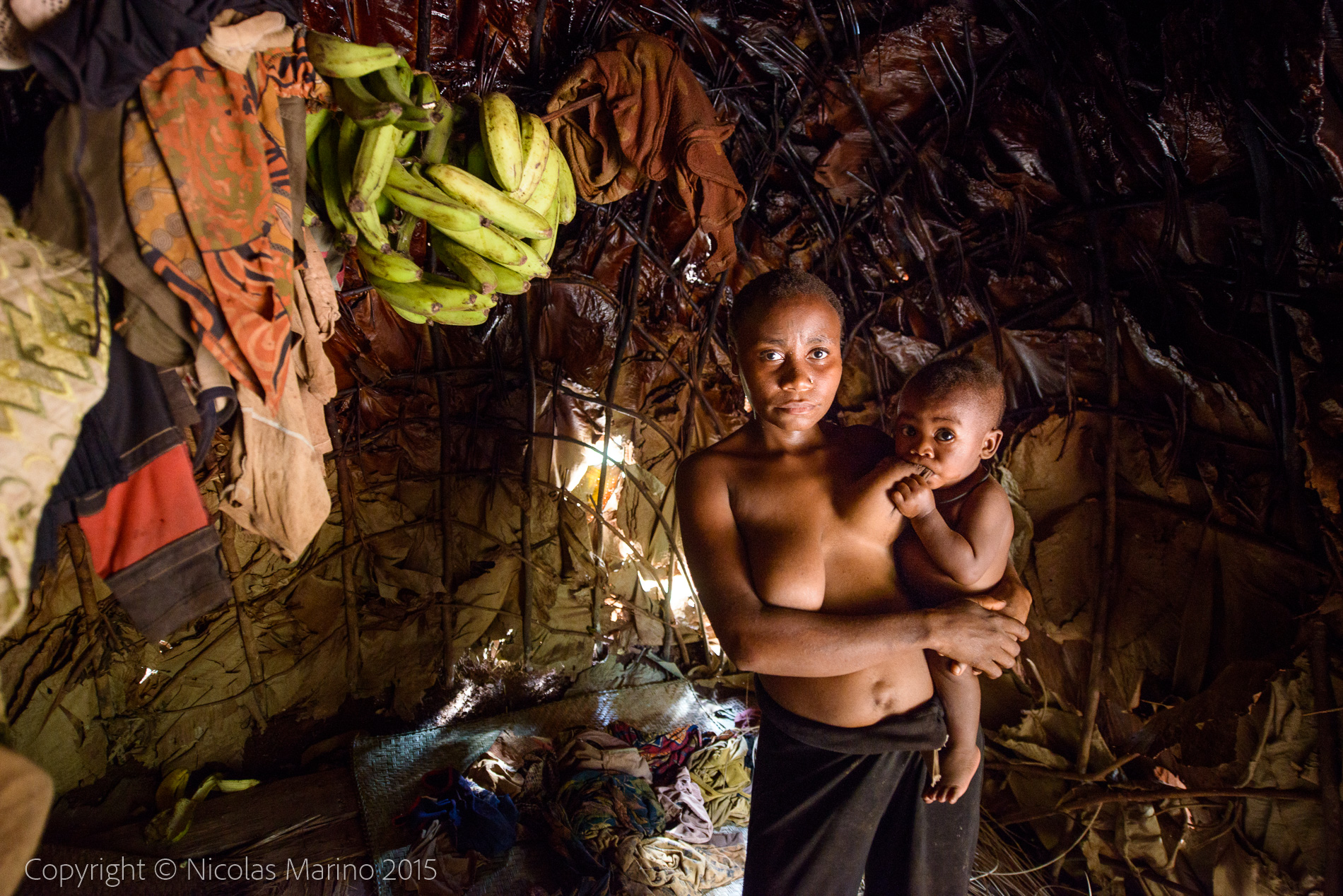 Baka pymys of the equatorial rainforest. Cameroon.