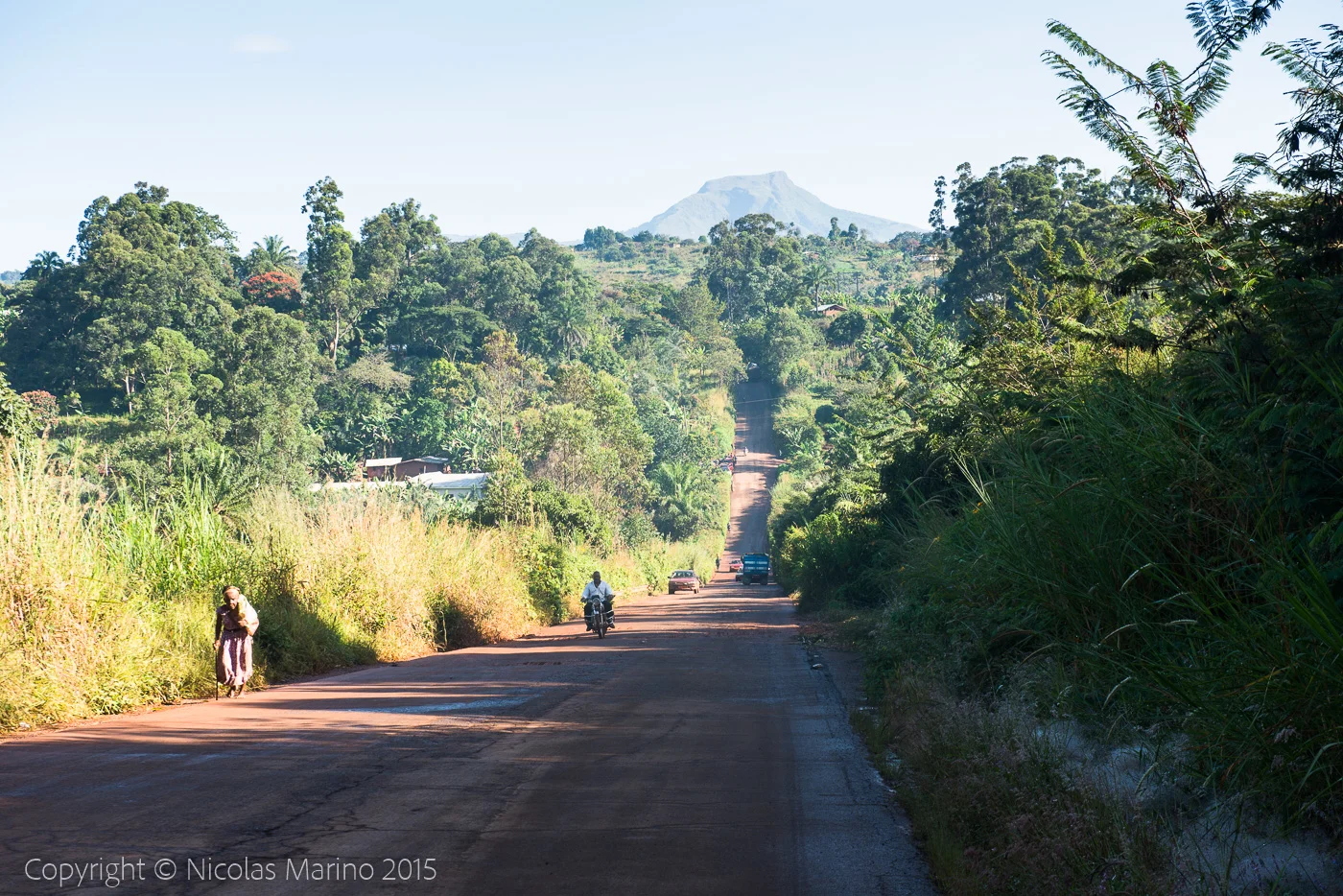 The Jungle Behind. The Fear ahead.