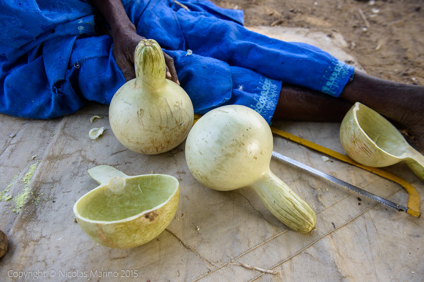 A Burkinabe man in his village, cutting pumpkins to turn them into drinking and eating containers. Burkina Faso