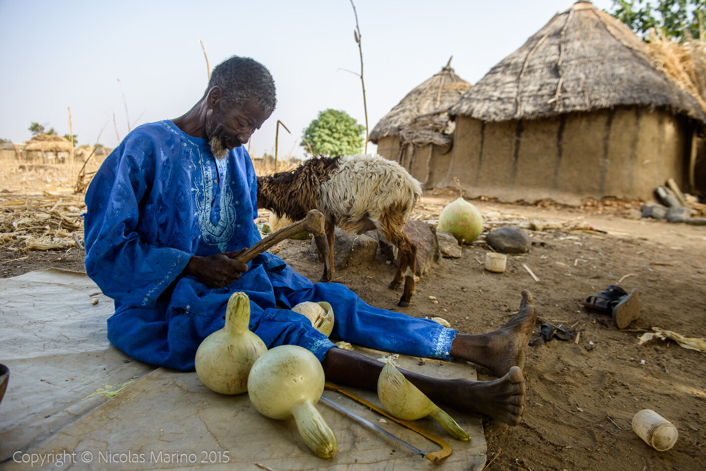 A Burkinabe man in his village, cutting pumpkins to turn them into drinking and eating containers. Burkina Faso
