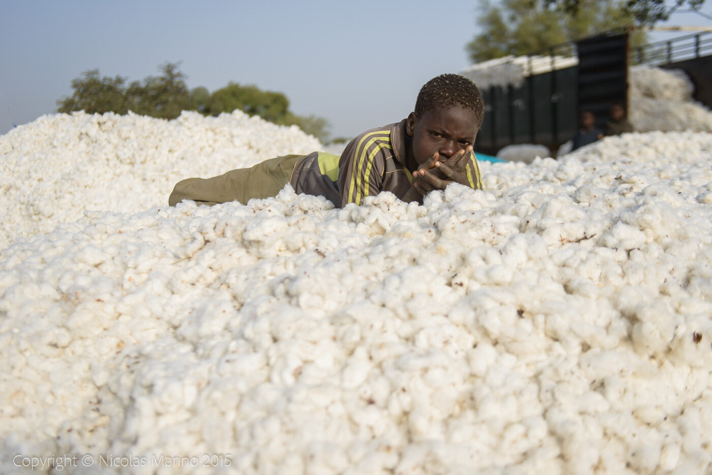 cotton recollection. Burkina Faso