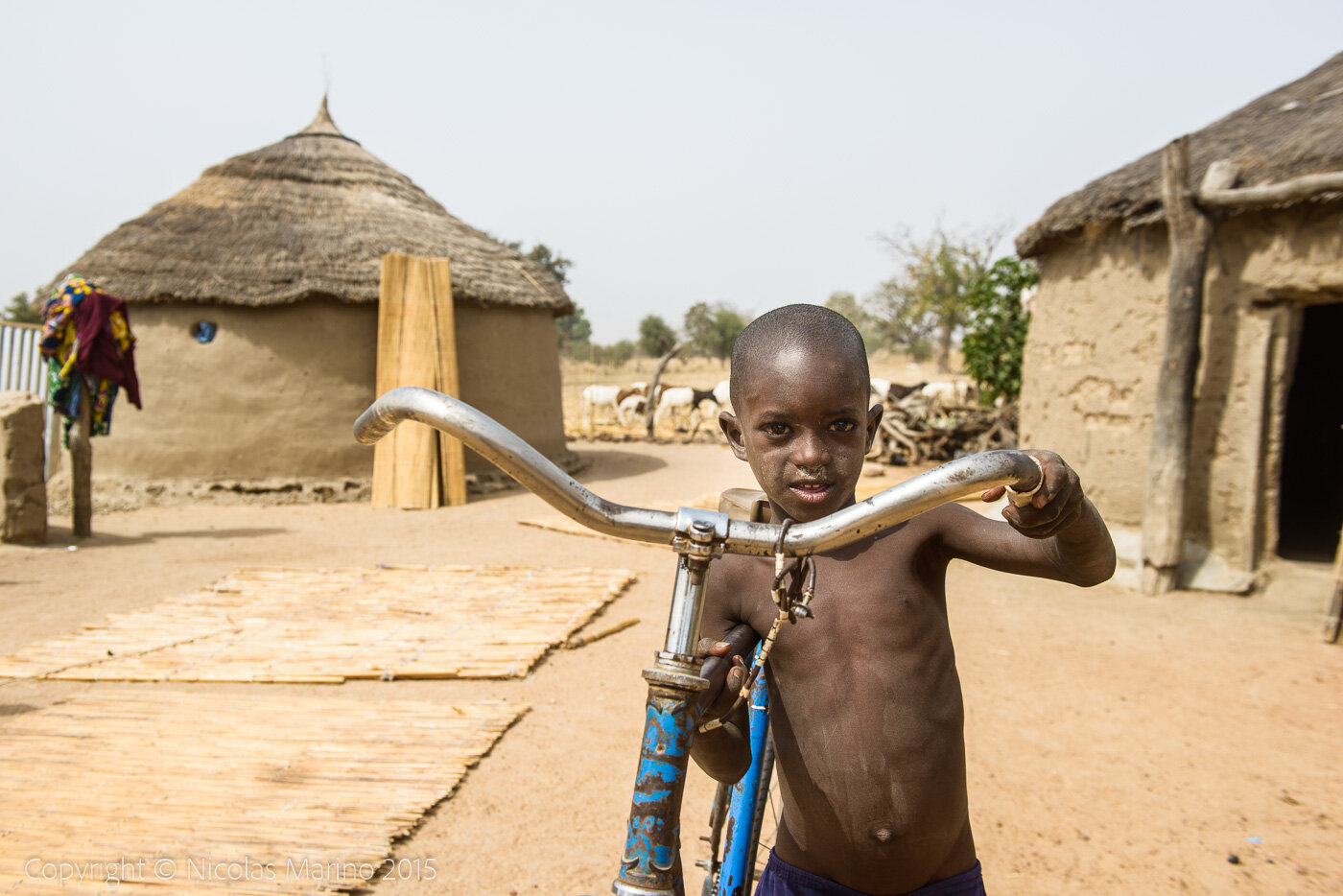 Rural life in a Fulani village of the Sahel in northeastern Burkina Faso
