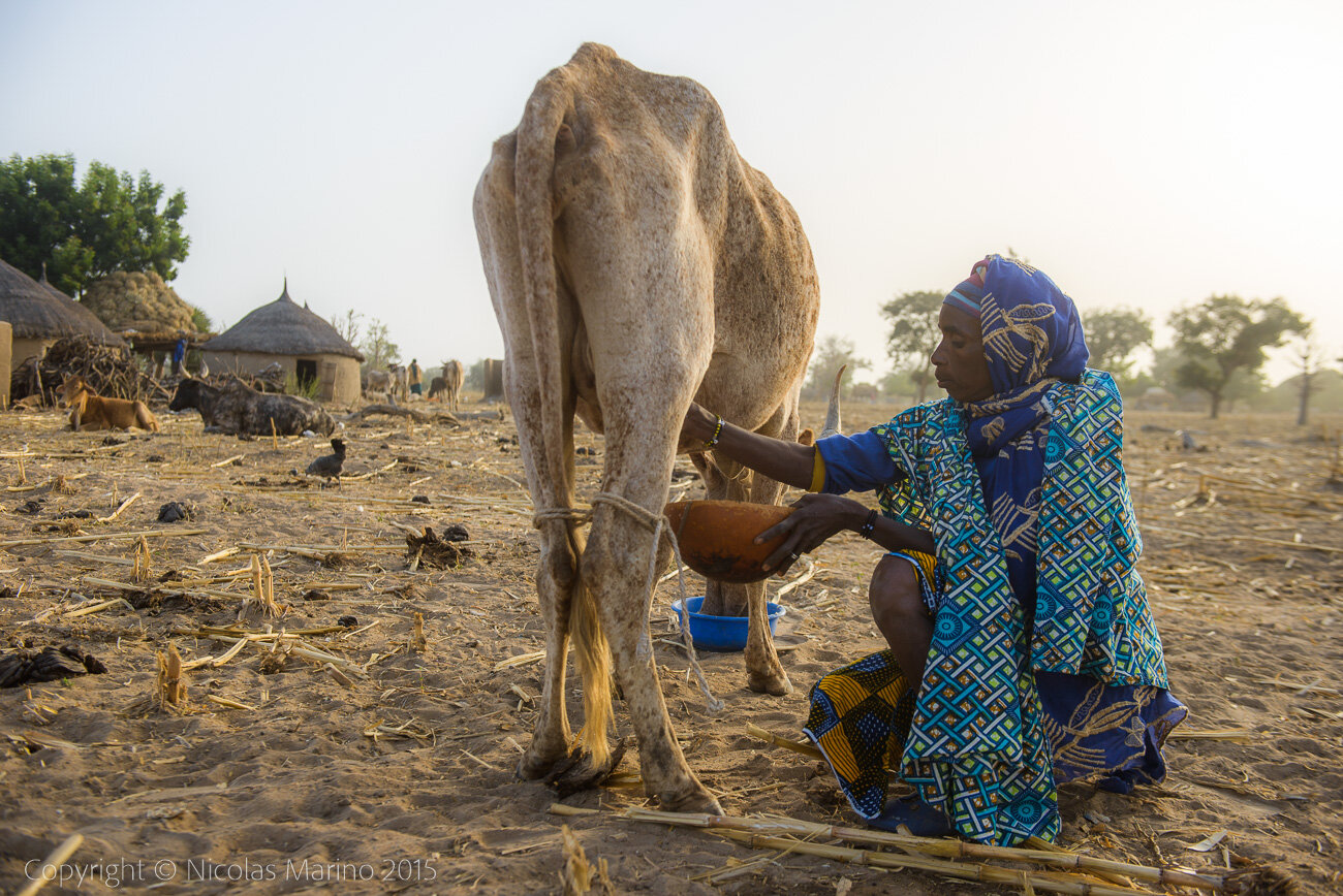Rural life in a Fulani village of the Sahel in northeastern Burkina Faso