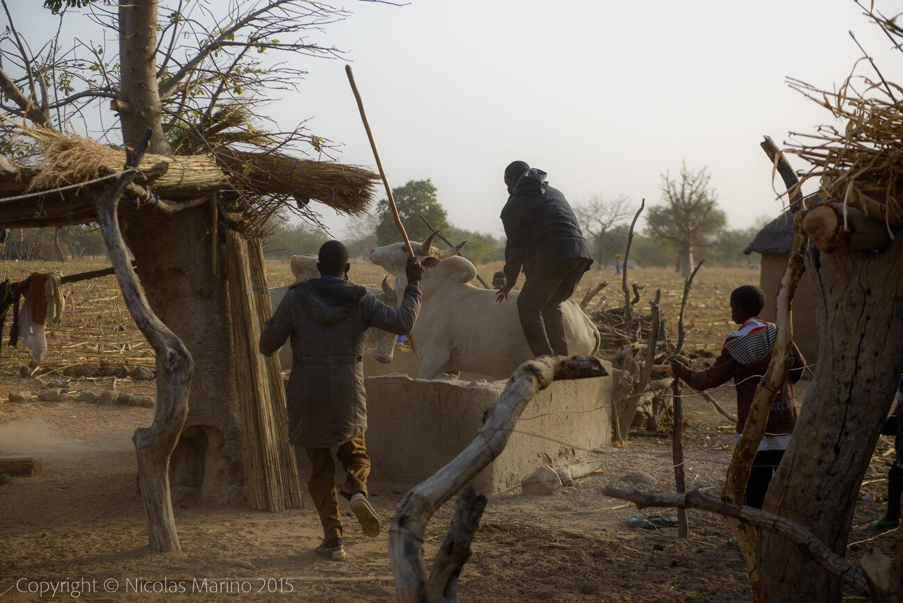 Rural life in a Fulani village of the Sahel in northeastern Burkina Faso