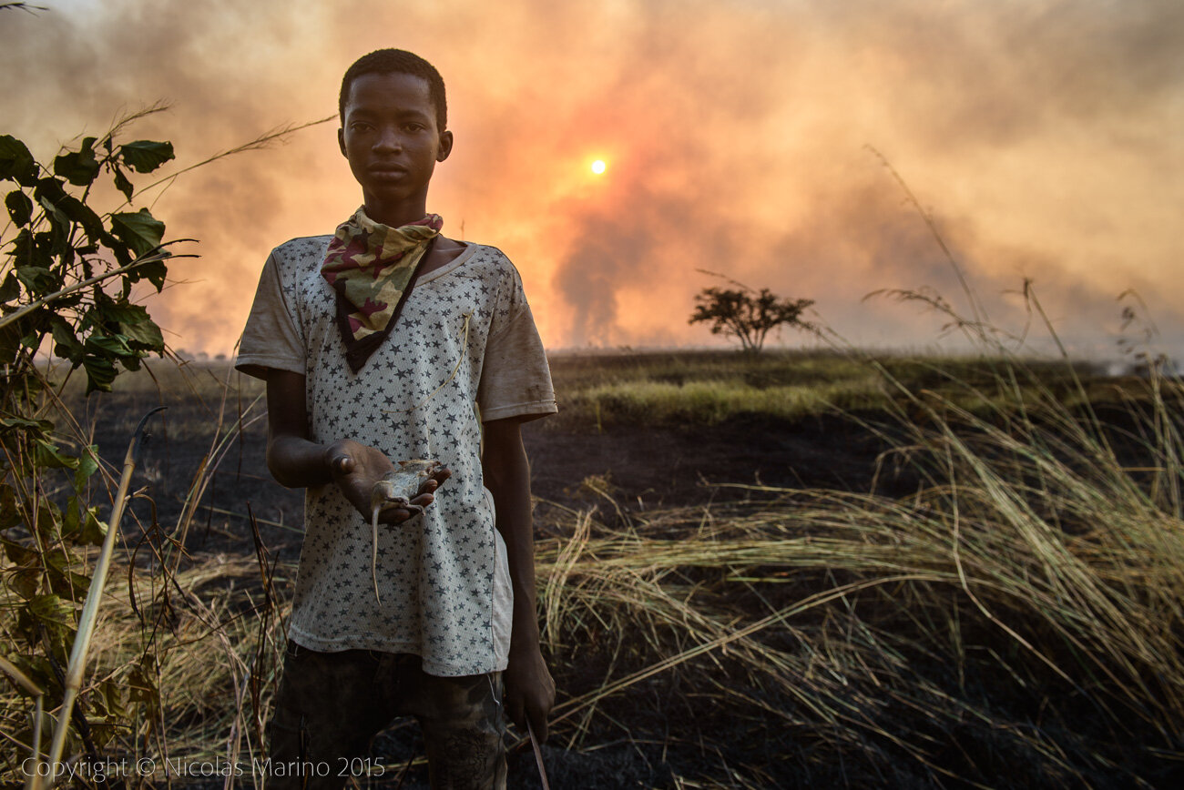  Kids hunting bush mice, during a fire. A source of protein in northern Ghana. 