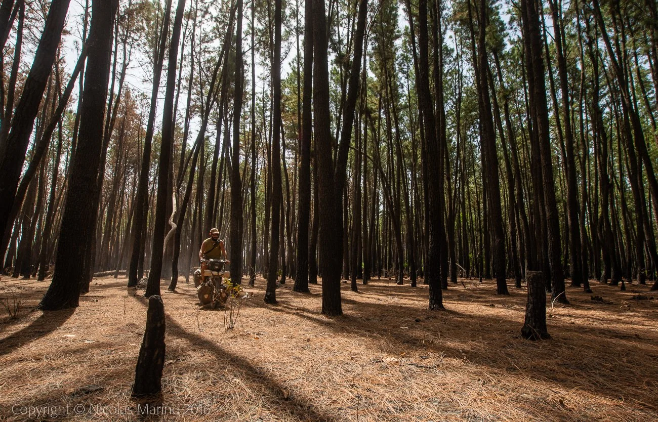  Cycling in the woods of the Fouta Djalon. Guinea 